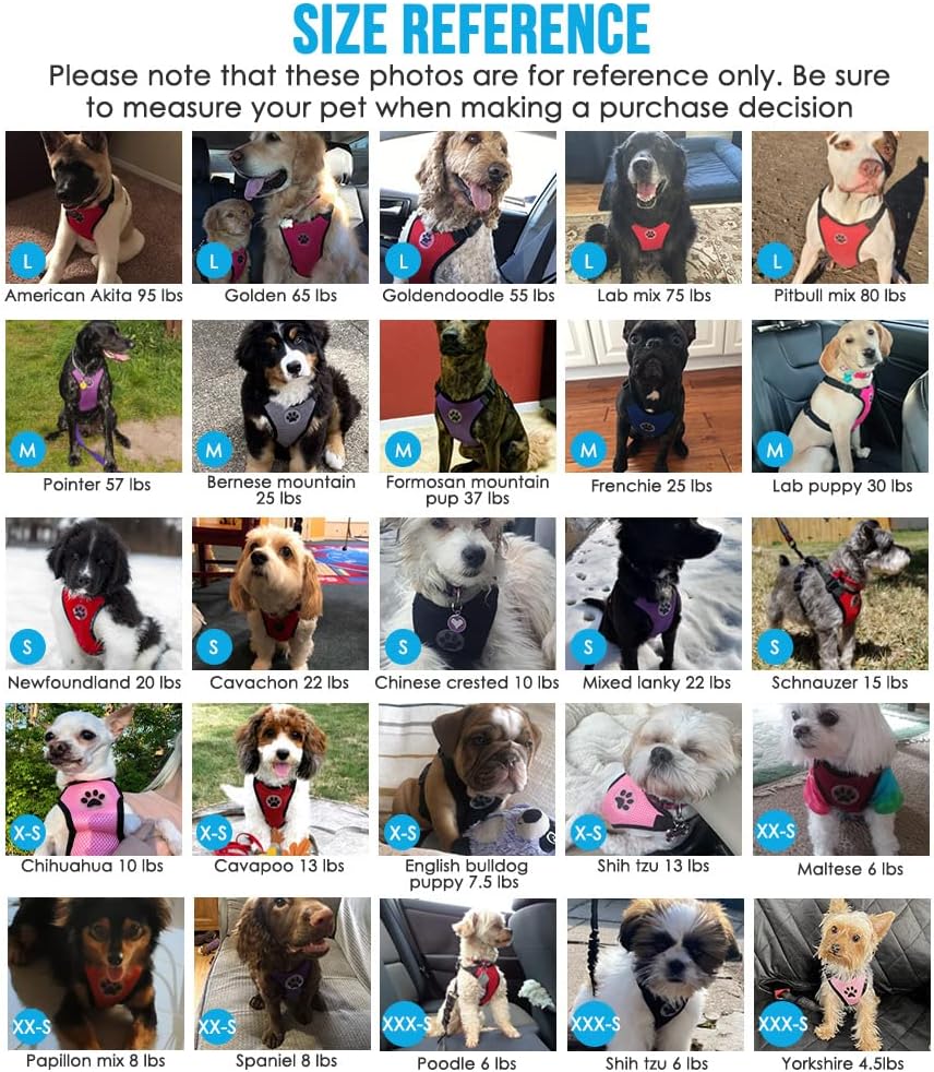 SlowTon Dog Seat Belt Harness for Car, Dog Car Harness Adjustable Mesh Breathable & Dog Seatbelt Safety Tether with Elastic Bungee for Small Medium Large Pets(Red, Double Clip, XXXS)