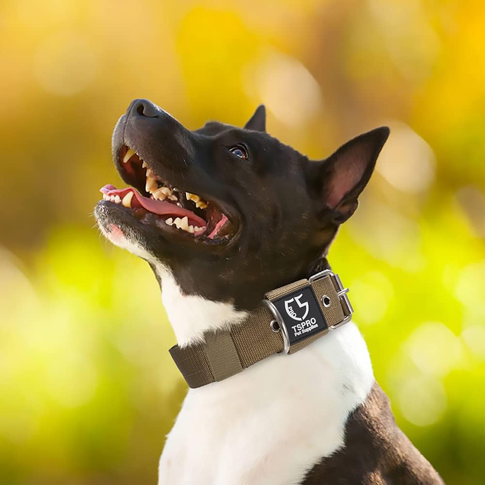 TSPRO Tactical Dog Collar 1.25 Inch Wide Thick Dog Collars with Heavy Duty Metal Buckle, Durable, Strong, Adjustable for Small Dogs (Khaki S)