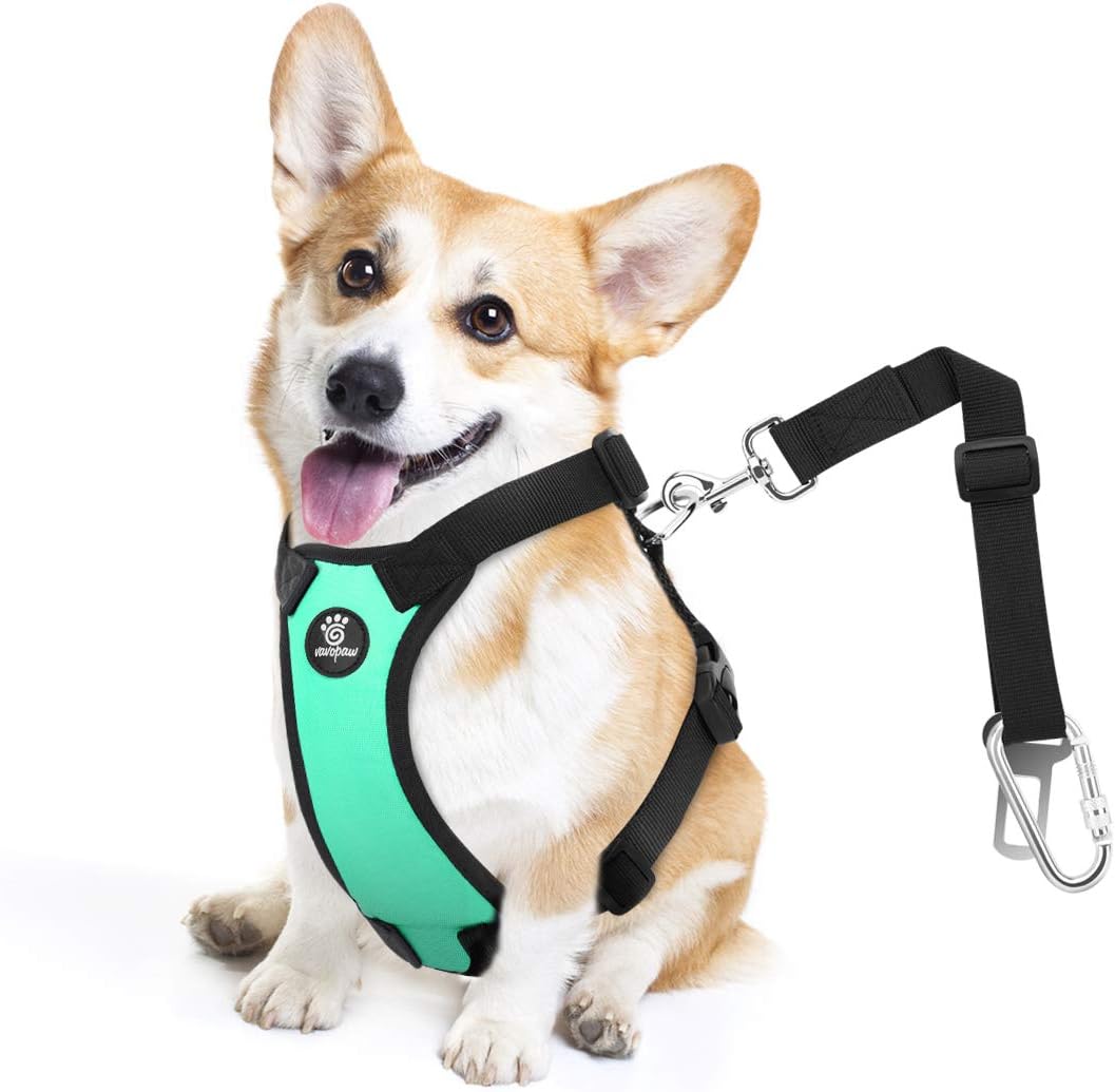 Dog Seat Belt, Safety Vest Dog Car Harness with Adjustable Buckle Dog Seat Belt for Vehicle Nylon Pet Safety Seat Belts Heavy Duty(M, Lake Blue)