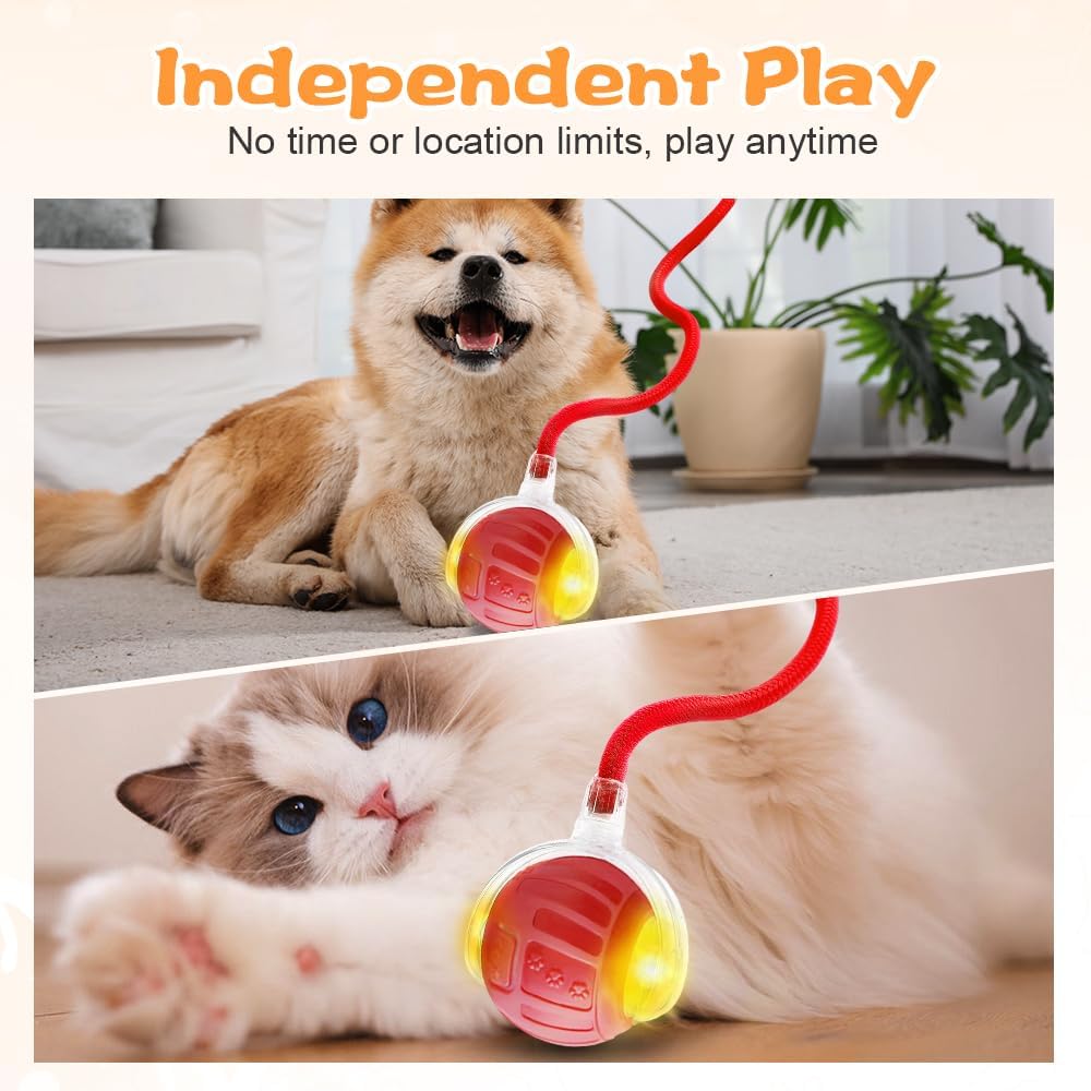 2026 New Interactive Pet Toy Ball, Smart Interactive Toy Ball for Cats & Dogs, Electric Rolling Pet Toy Ball, Rechargeable Interactive Cat Toys for Bored Indoor Cats Kittens to Keep Busy (Gray)