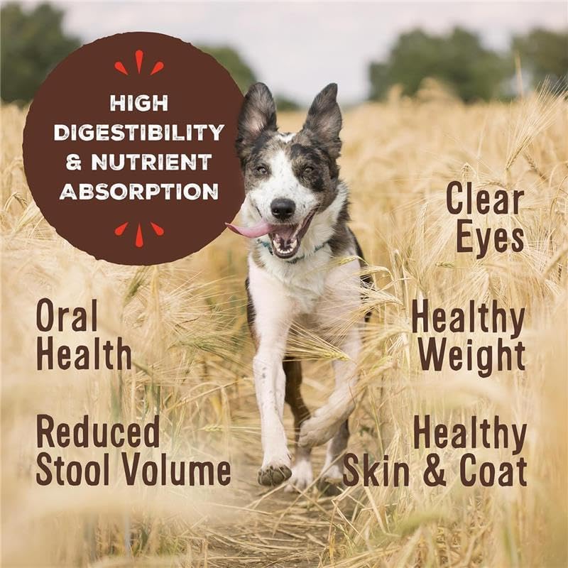 Primal Freeze Dried Dog Food Nuggets, Beef; Complete & Balanced Meal; Also Use as Topper or Treat; Premium, Healthy, Grain Free, High Protein Raw Dog Food, 14 oz (Pack of 4)