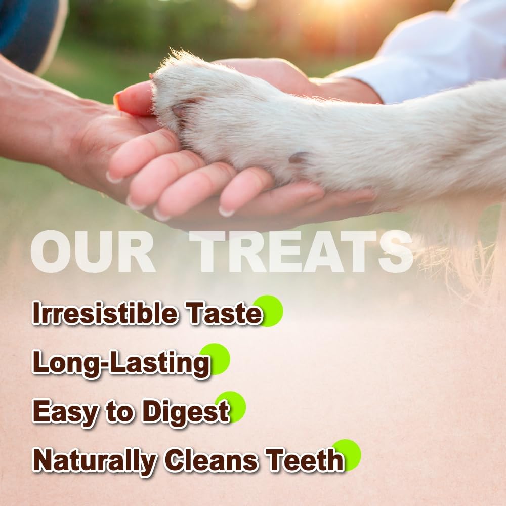Afreschi Turkey Tendon Pretzel (S) 6 Pieces per Pack, USA-Sourced Turkey Tendon, All Natural Human Grade Puppy Chew, Hypoallergenic, Rawhide Alternative, Dog Treats for Small Breeds