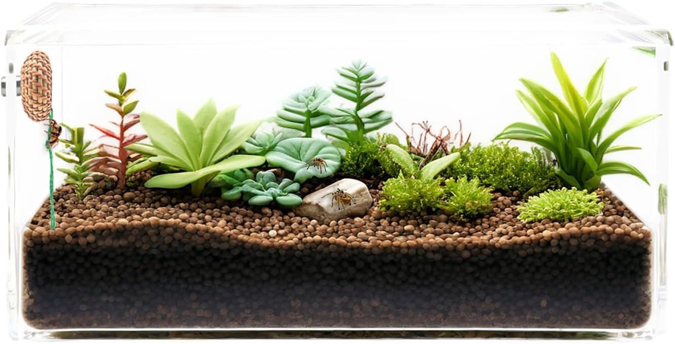 1 Pcs Jumping Spider Accessories，Shelter Made of Cane, Essential for Jumping Spider Hide, Enclosure, and Tarantula Enclosure Accessories