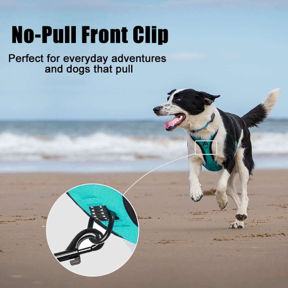 PoyPet No Pull Dog Harness, Reflective Comfortable Vest Harness with Front & Back 2 Leash Attachments and Easy Control Handle Adjustable Soft Padded Pet Vest for Small to Large Dogs (Mint Blue,XS)