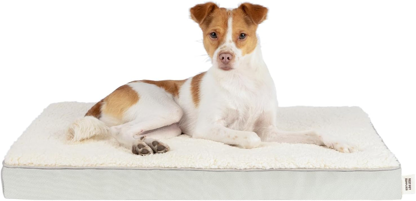 Best Pet Supplies Cute Dog Crate Mat Flat Bed with Waterproof Exterior, Thick Orthopedic Egg Foam Mattress, and Soft Sherpa Fleece Cover for Small, Medium, and Large Breeds - Beige, 24X16X3