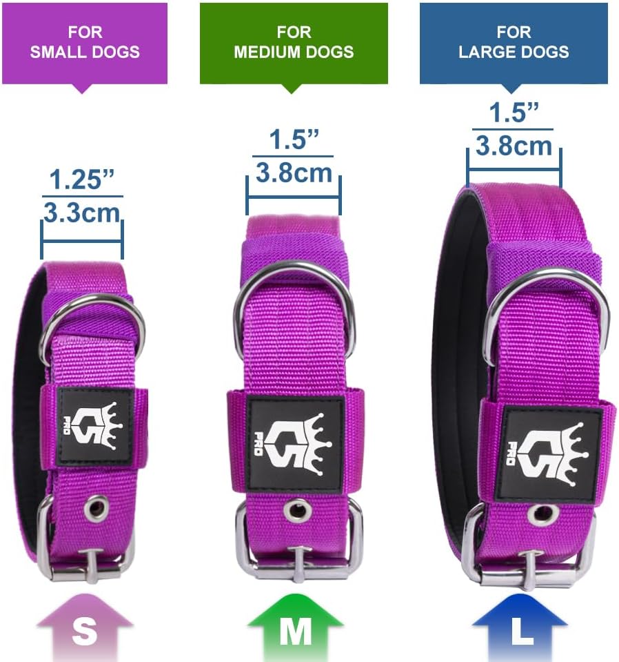 TSPRO Tactical Dog Collar 1.25 Inch Wide Thick Dog Collars with Heavy Duty Metal Buckle, Durable, Strong, Adjustable for Small Dogs (Orange S)