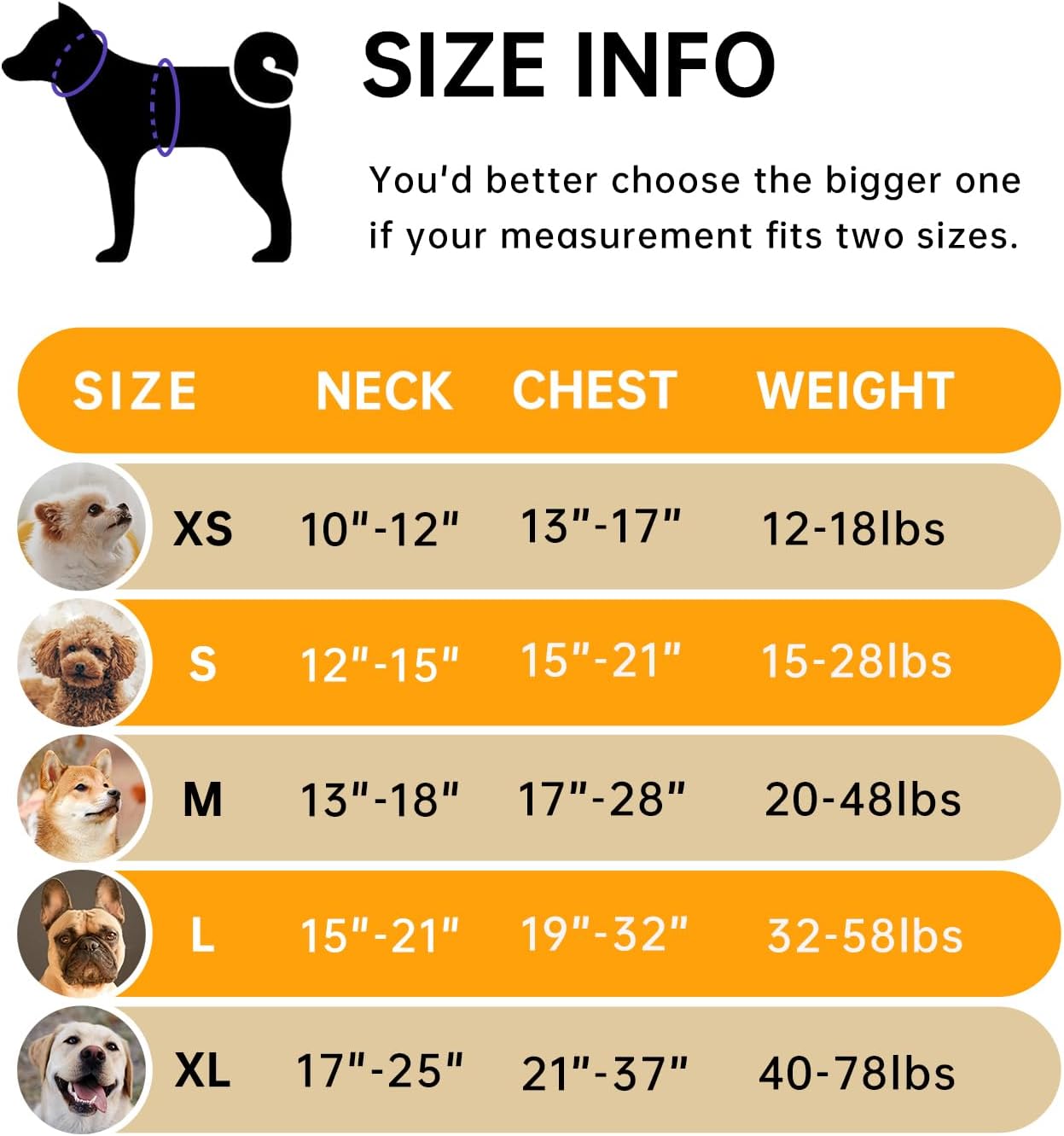 IVY&LANE No Pull Dog Harness for Small Dogs, Vest Harness with Leash, Safety Belt and Storage Strap, Fully Adjustable, 360° Reflective Strip, Soft Handle (Orange, S)