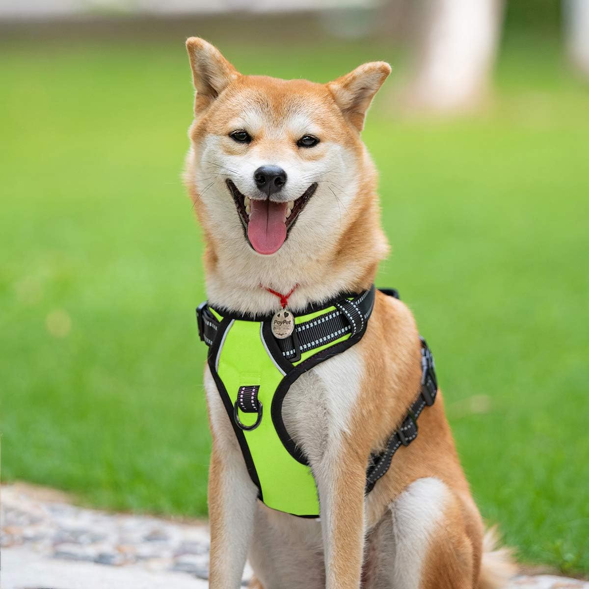 PoyPet No Pull Dog Harness, Reflective Comfortable Vest Harness with Front & Back 2 Leash Attachments and Easy Control Handle Adjustable Soft Padded Pet Vest for Small to Large Dogs (Green,L)