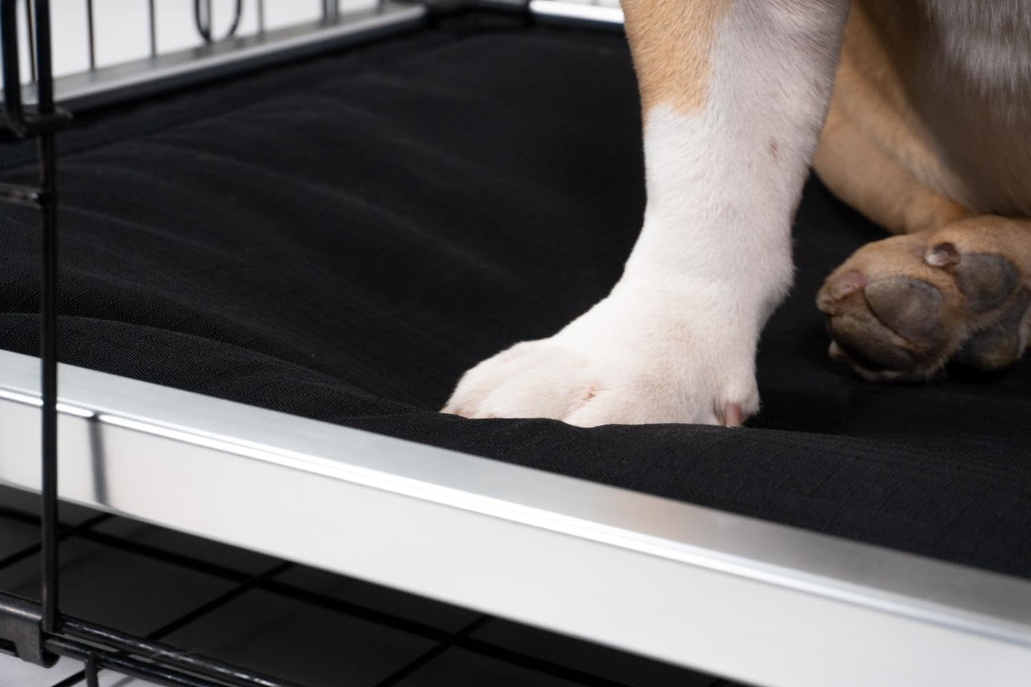 K9 Ballistics Chew Proof Armored Padded Dog Crate Bed, Virtually Indestructible, Legs Included (Obsidian Black, Large (41" L x 27" W x 5" H))