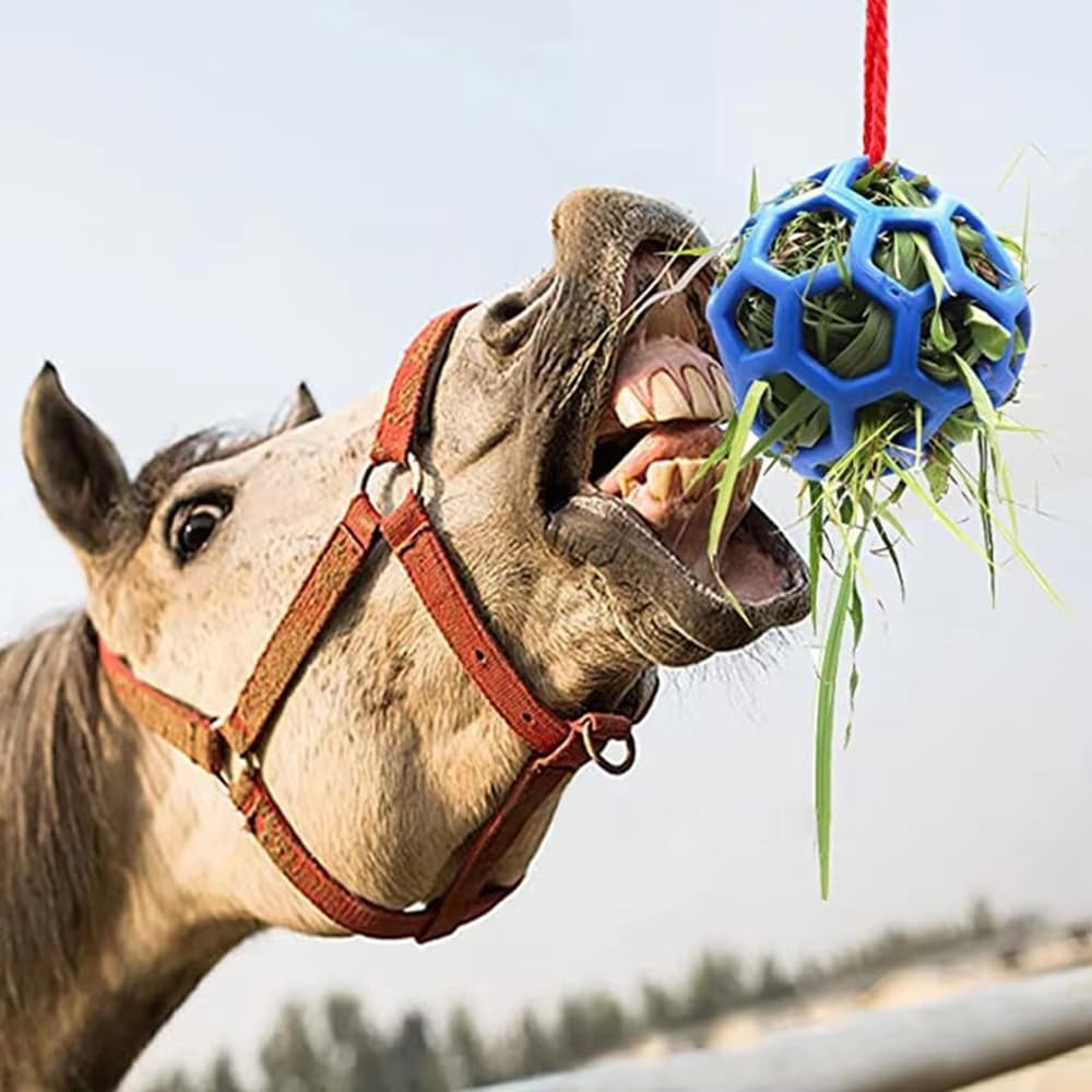 3PCS Hay Feeder Ball Toy for Horses, Goats & Livestock – Rainbow Colors with Hanging Red Cord, Stress Relief & Boredom Prevention (Green, Blue, Red)