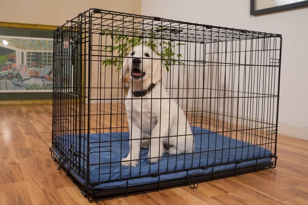 K9 Ballistics Tough Ripstop Orthopedic Dog Crate Bed - Durable Pad with Washable Cover, for Wire Crates, Tie-Downs Included, Size: Medium 35"x22", Blue Quartz
