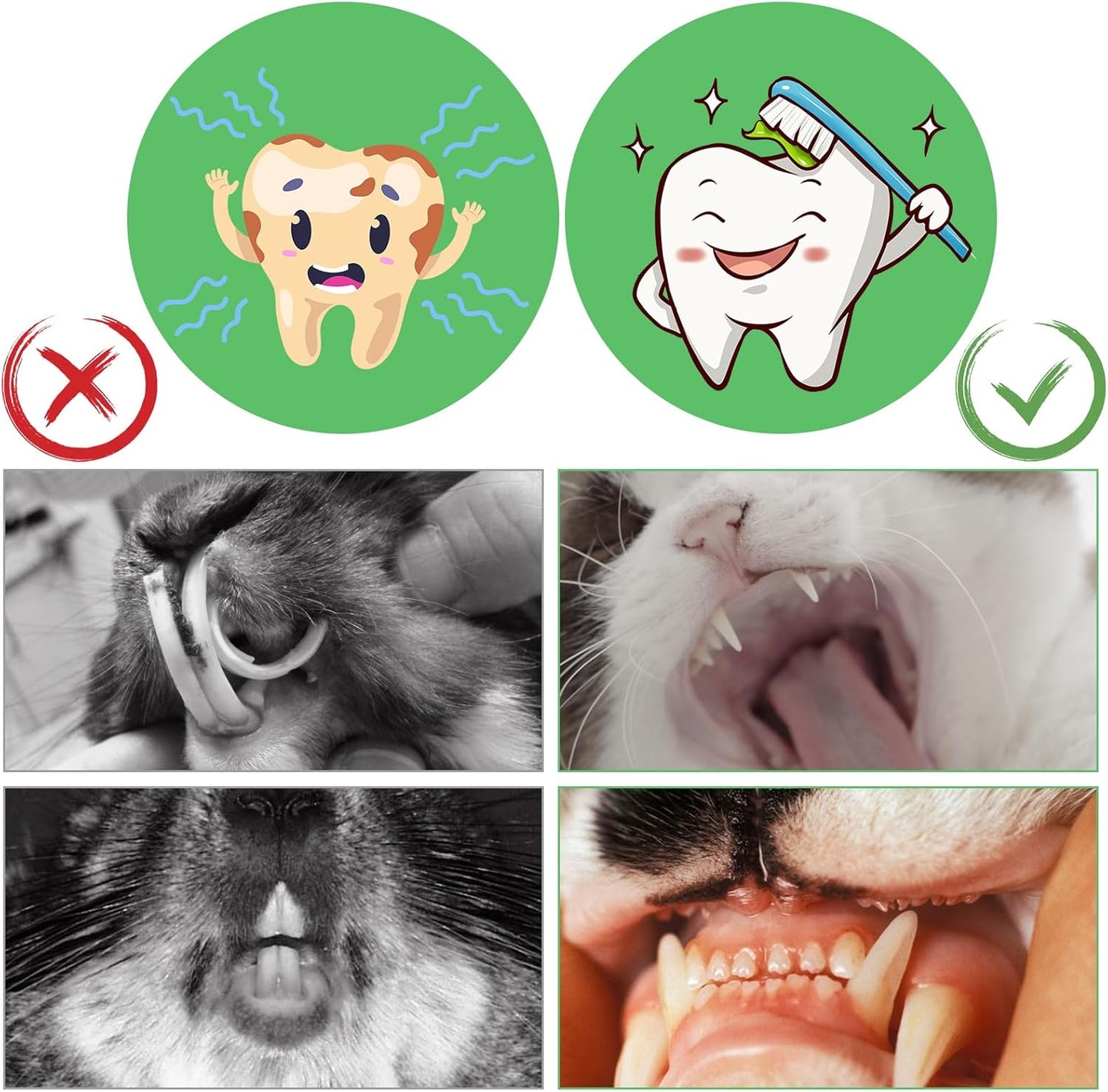 1000g/2.2lb Bamboo Chews for Rabbits, Rabbit Sticks Rabbit Chew Toys Bunny Chew Toys, Molar Treats for Small Animals, Hamsters, Chinchillas, Guinea Pigs, Natural Teeth Grinding Toys