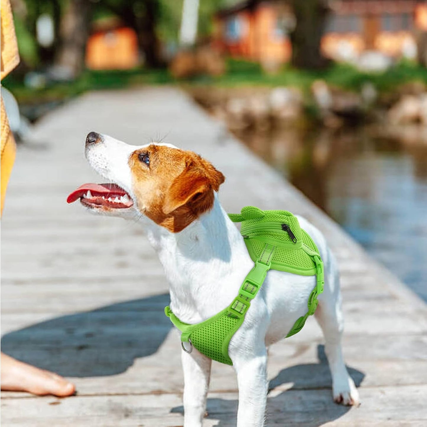 IDOMIK Dog Backpack Harness, No-Pull Dog Backpack with D-Ring for Small Medium Dogs, Cute Self Carrier Backpack for Dogs to Wear, Adjustable Dog Harness Backpack for Traveling Camping Hiking, Frog, S