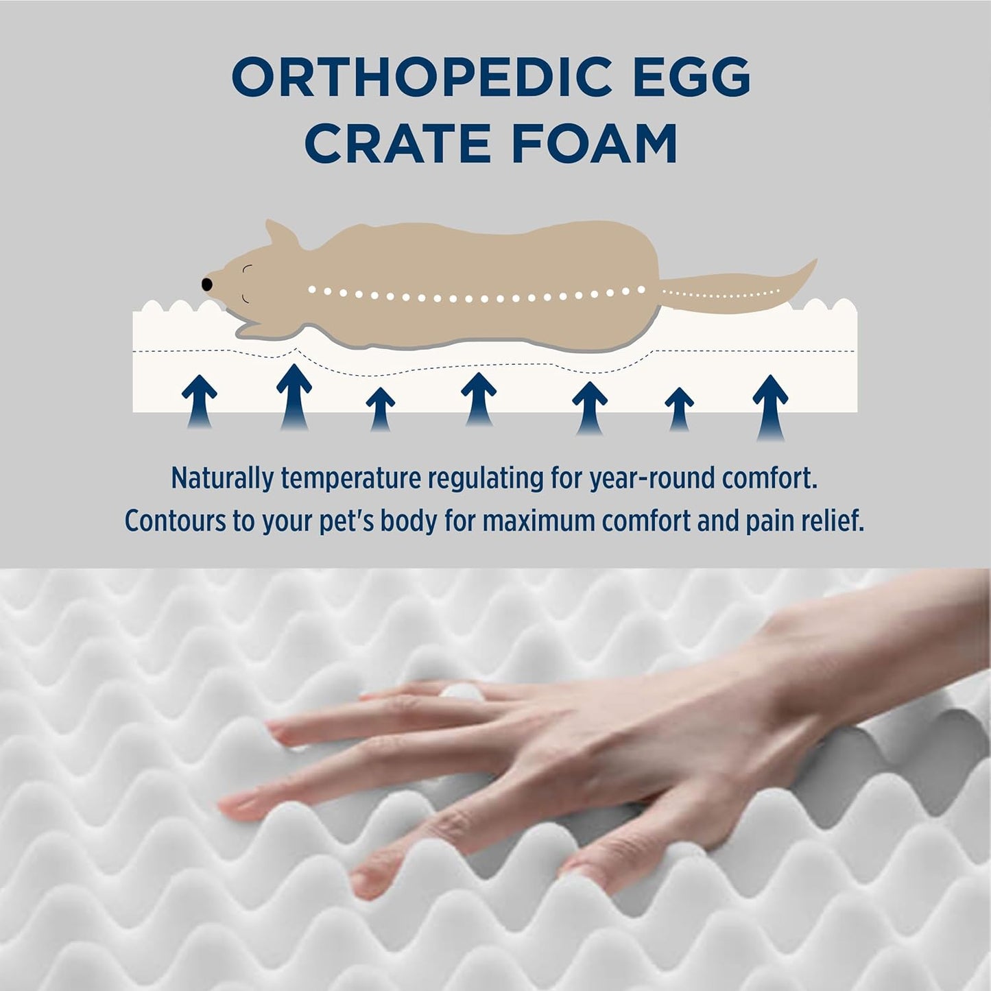 Bedsure XL Dog Bed for Crate - Large Orthopedic Flat Pet Beds with Removable Washable Cover, Egg Crate Foam Crate Mat, Suitable for Pet Up to 90 lbs