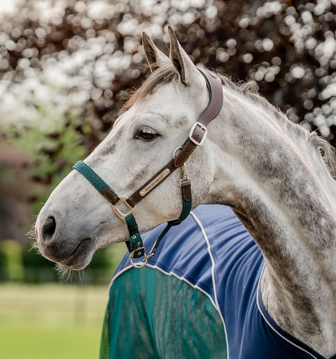 Horseware® Signature Braided Halter