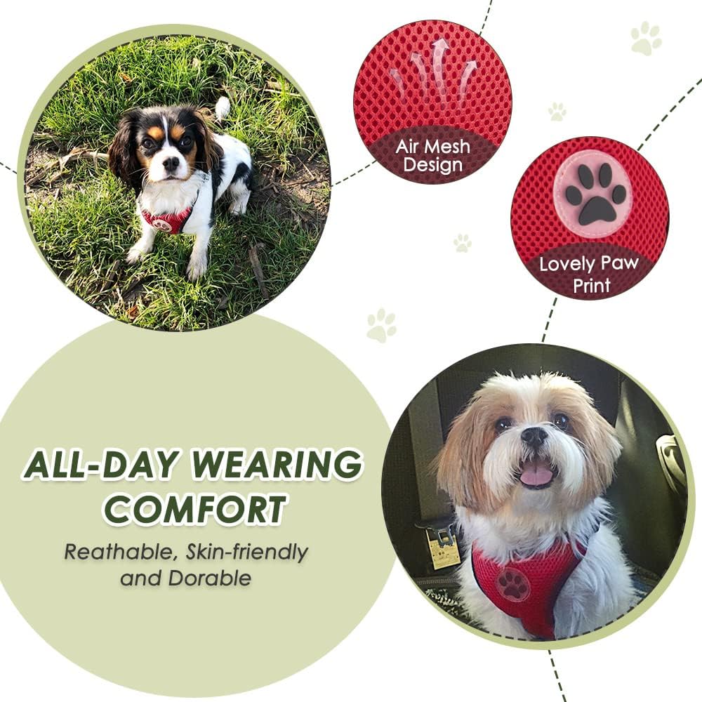 SlowTon Dog Seat Belt Harness for Car, Dog Car Harness Adjustable Mesh Breathable & Dog Seatbelt Safety Tether with Elastic Bungee for Small Medium Large Pets(Red, Double Clip, M)