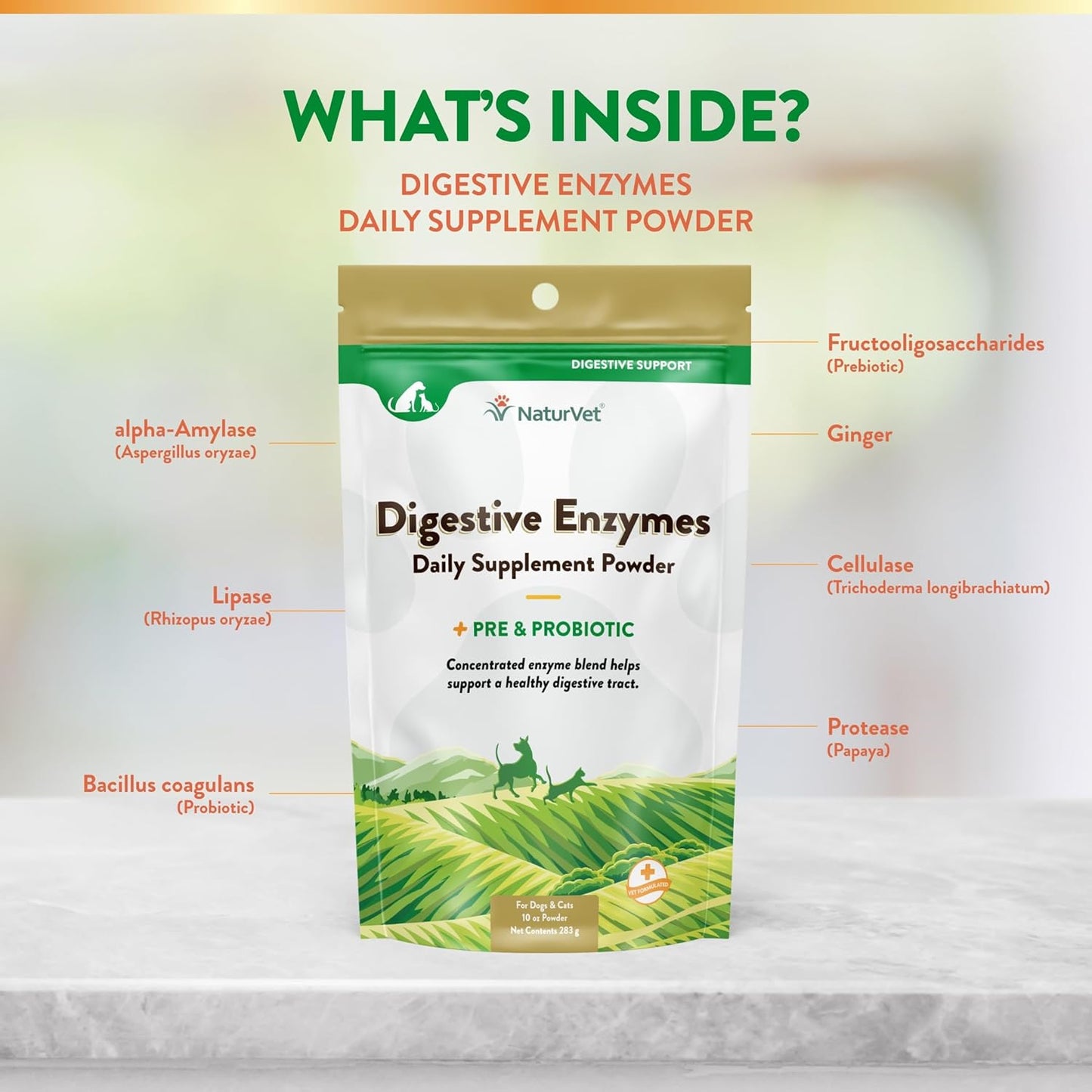 NaturVet – Digestive Enzymes - Plus Probiotics & Prebiotics – Helps Support Diet Change & A Healthy Digestive Tract – for Dogs & Cats – 10 oz Powder