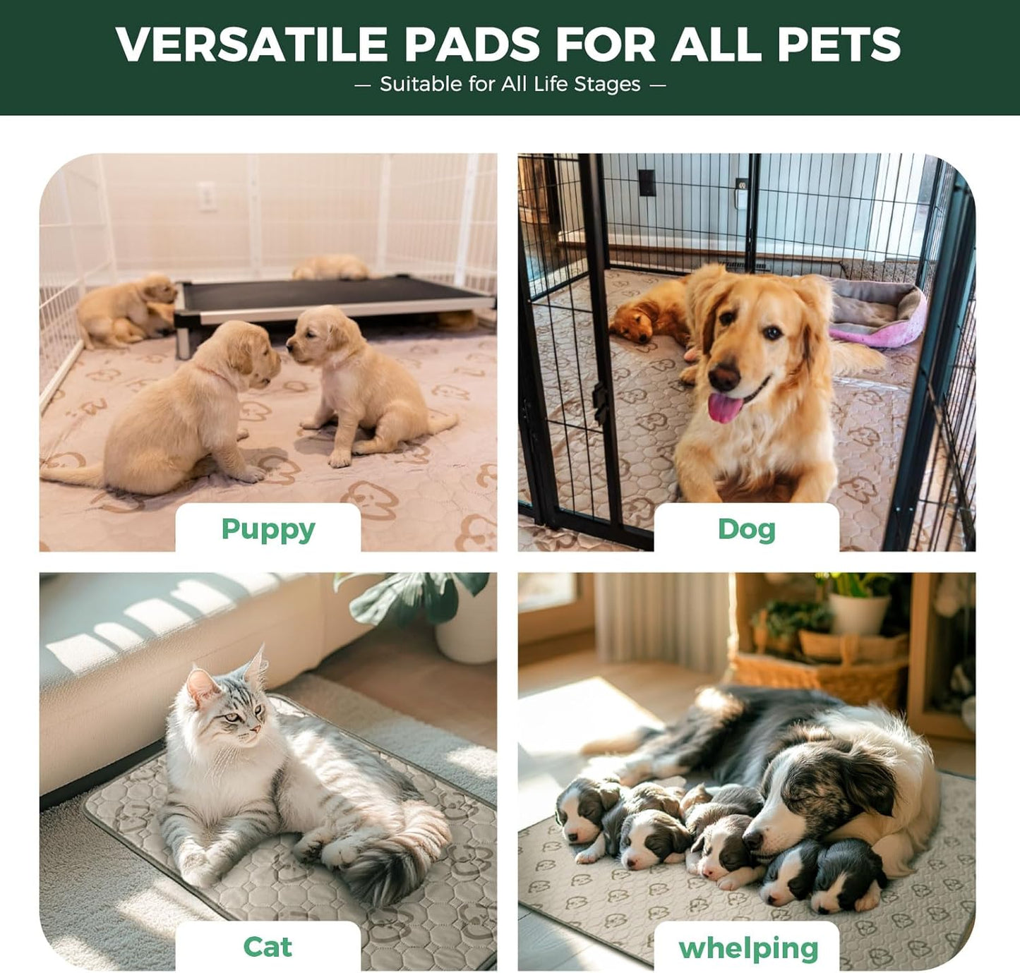 FXW Washable Pee Pads for Dogs, Puppy Pads with Super Absorbent, Specifically Designed for Whelping Box, 47" Round, Khaki, 2 Packs