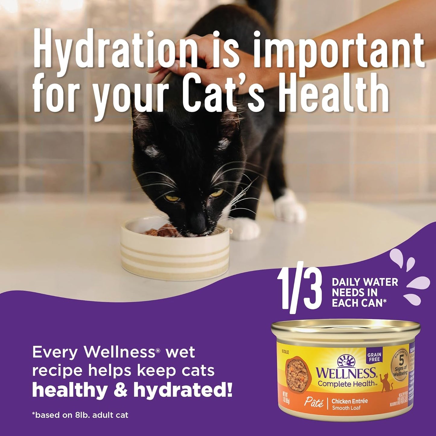 Wellness Complete Health Morsels Adult Wet Cat Food, Natural, Protein-Rich, Grain Free, 3 Ounce, 24 Pack, (Chicken Entrée)