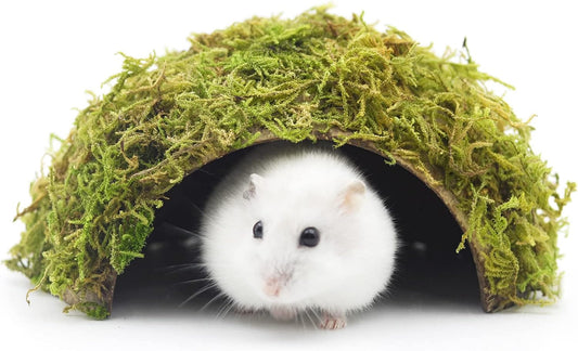 Hamster Hideaway/Hideout,Mossy Cave Hide,Hamster House/Hides,Hamster Cage Accessories for Gguinea Pig/Hedgehogs/Gliders/Rats/Mice and Other Small Animals (Small)