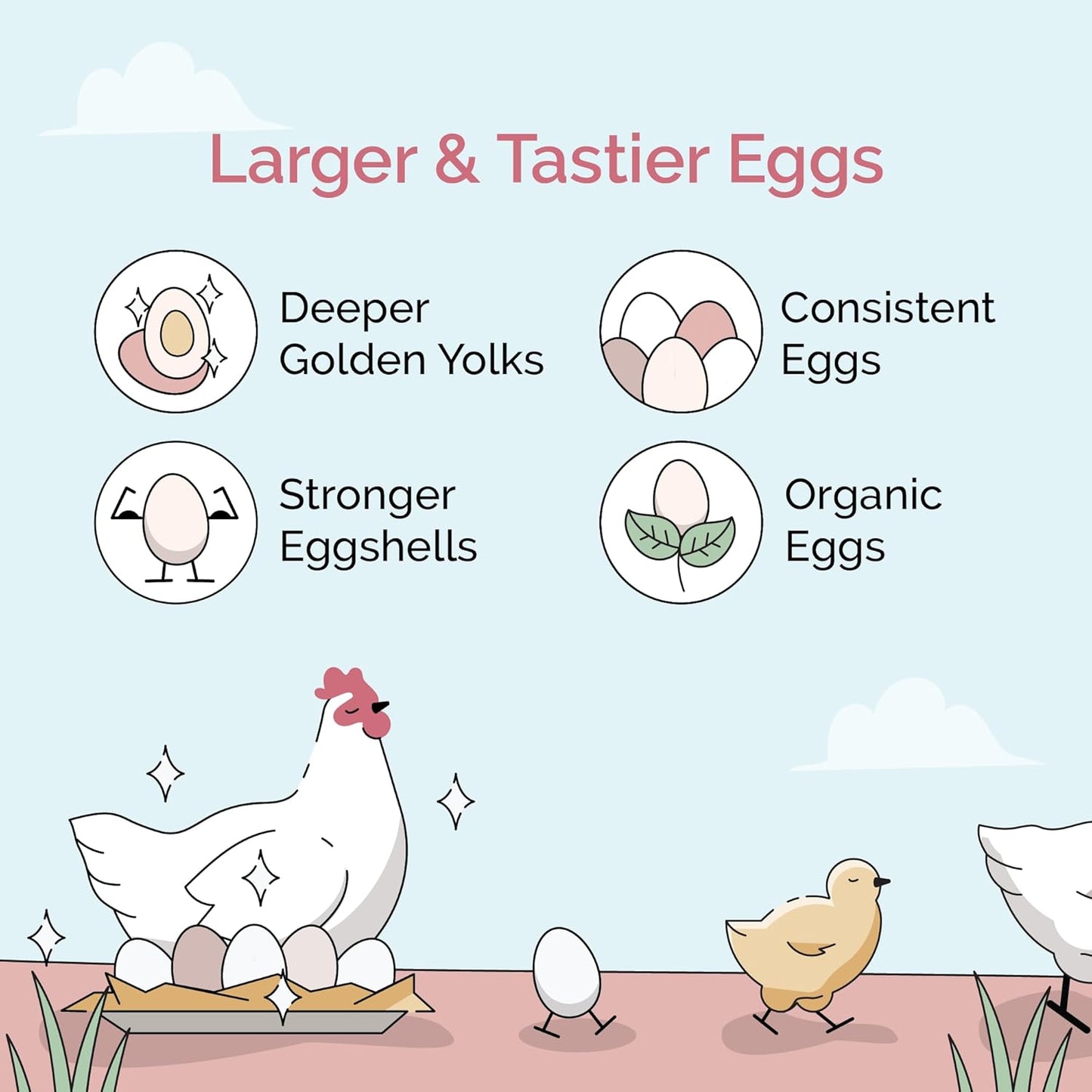 Organic Chicken Feed – Layer Pellet, Non-GMO, USA Grown, 16% Protein, Corn-Free, Soy-Free, Non-Medicated Feed for Chickens, 23 lbs