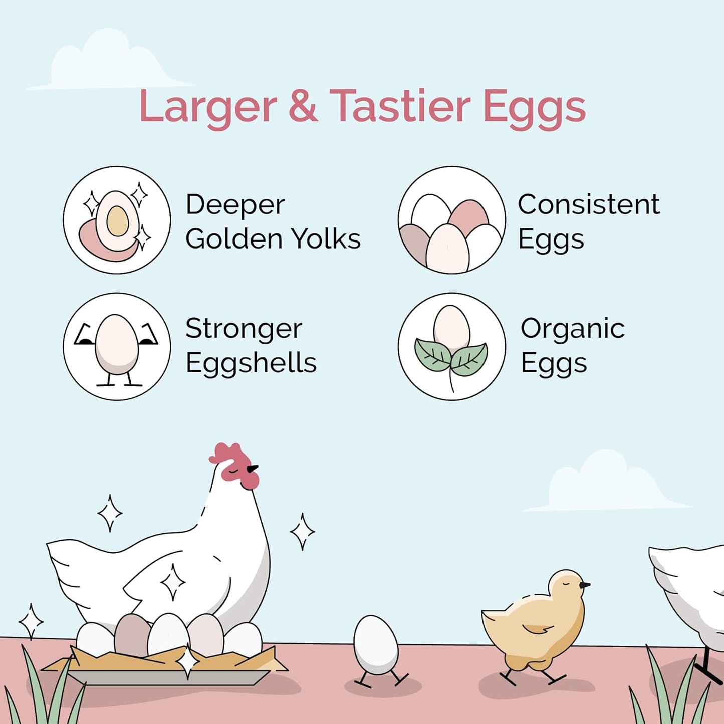 Organic Chicken Feed – Layer Whole Grain, Non-GMO, USA Grown, 16% Protein, Corn-Free, Soy-Free, Non-Medicated Feed for Chickens, 23 lbs