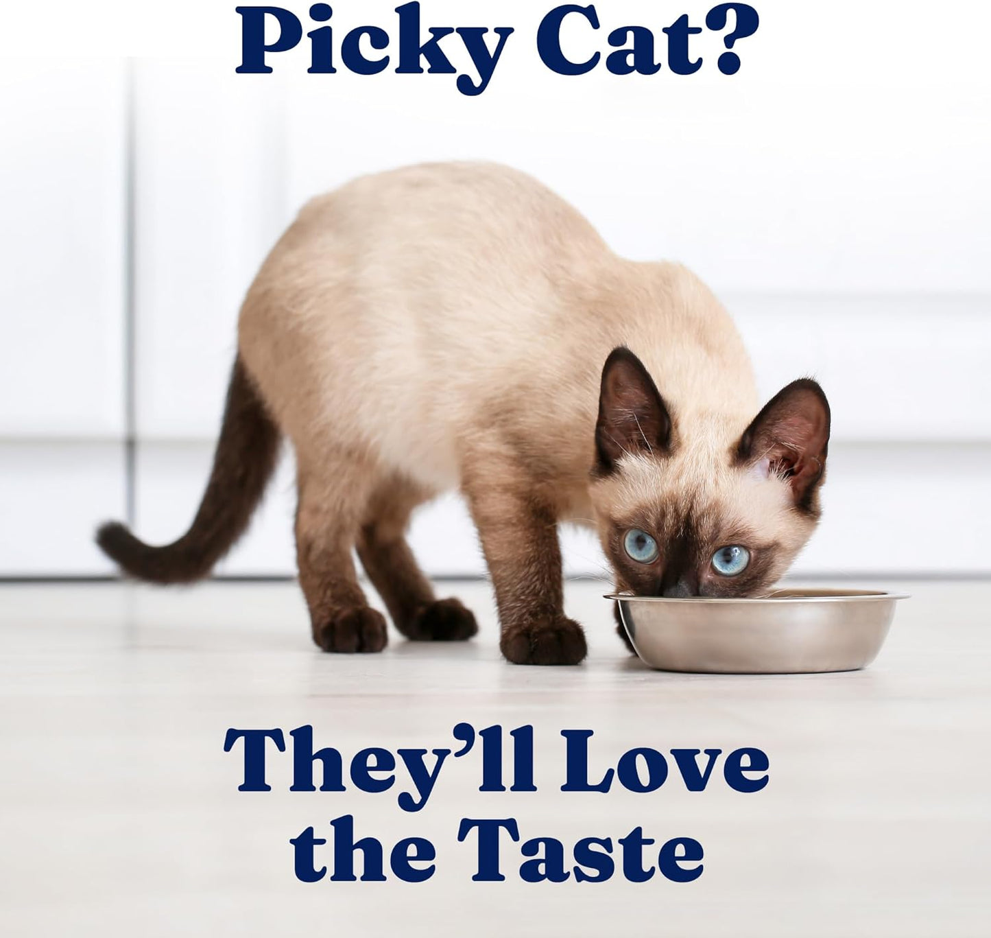 Solid Gold Wet Cat Food Shreds in Gravy - Healthy Canned Cat Food Made w/Real Chicken & Mackerel Shreds, Vitamins & Minerals - Grain Free & Gluten Free Canned Meals for Cats & Kittens - 24ct/3oz Can