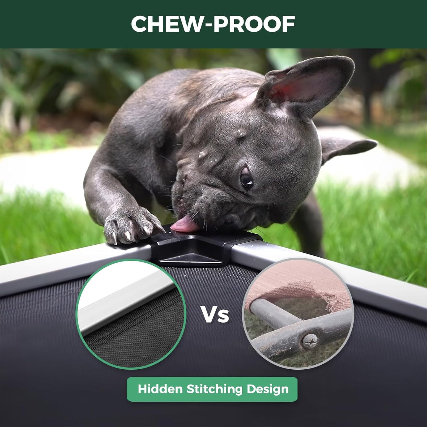FXW TitanNest Chew-Proof Elevated Dog Bed, Raised Cot for Indoor/Outdoor/Camping Use, Durable & Waterproof Cooling Pet Bed for Small Dogs, 36.0" L x 24.0" W x 4.5" H, Black