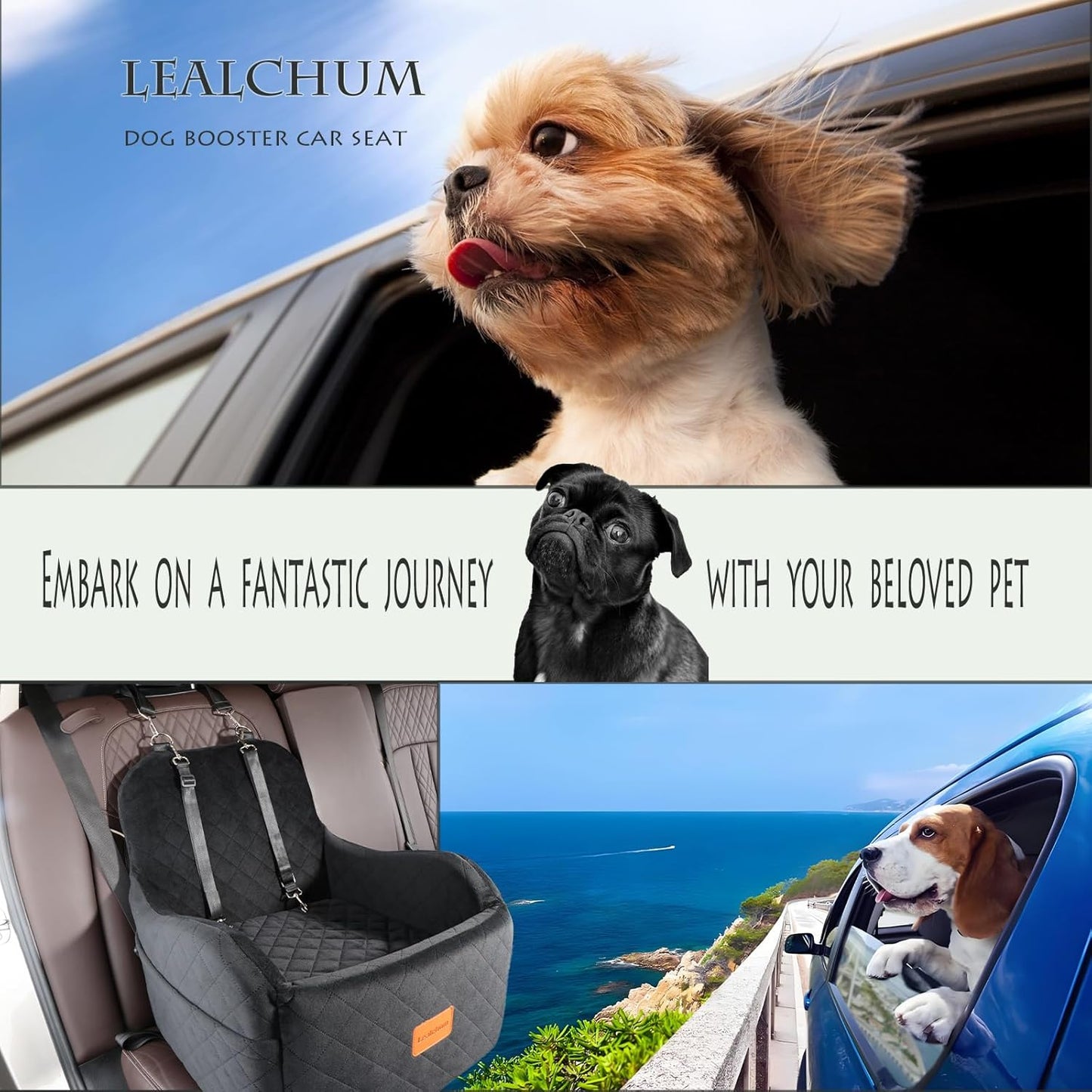 Dog Booster Car Seat for Small/Medium Dogs Up to 35lbs,Elevated Cushion Fits in Front/Back Seat,Fully Detachable and Washable,2 Storage Pockets & Dog Leashes,Easy to Install(Black,Medium)