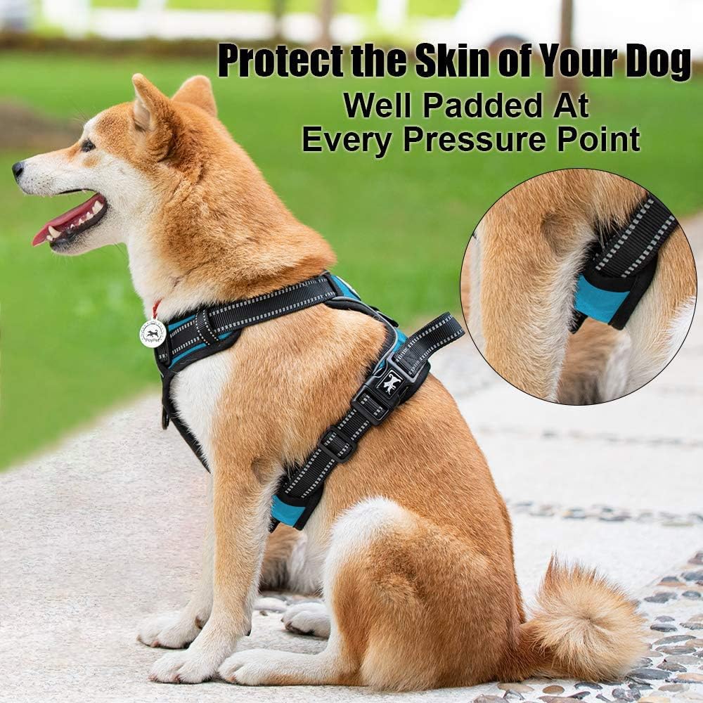 PoyPet No Pull Dog Harness, Reflective Comfortable Vest Harness with Front & Back 2 Leash Attachments and Easy Control Handle Adjustable Soft Padded Pet Vest for Small to Large Dogs (Blue,M)