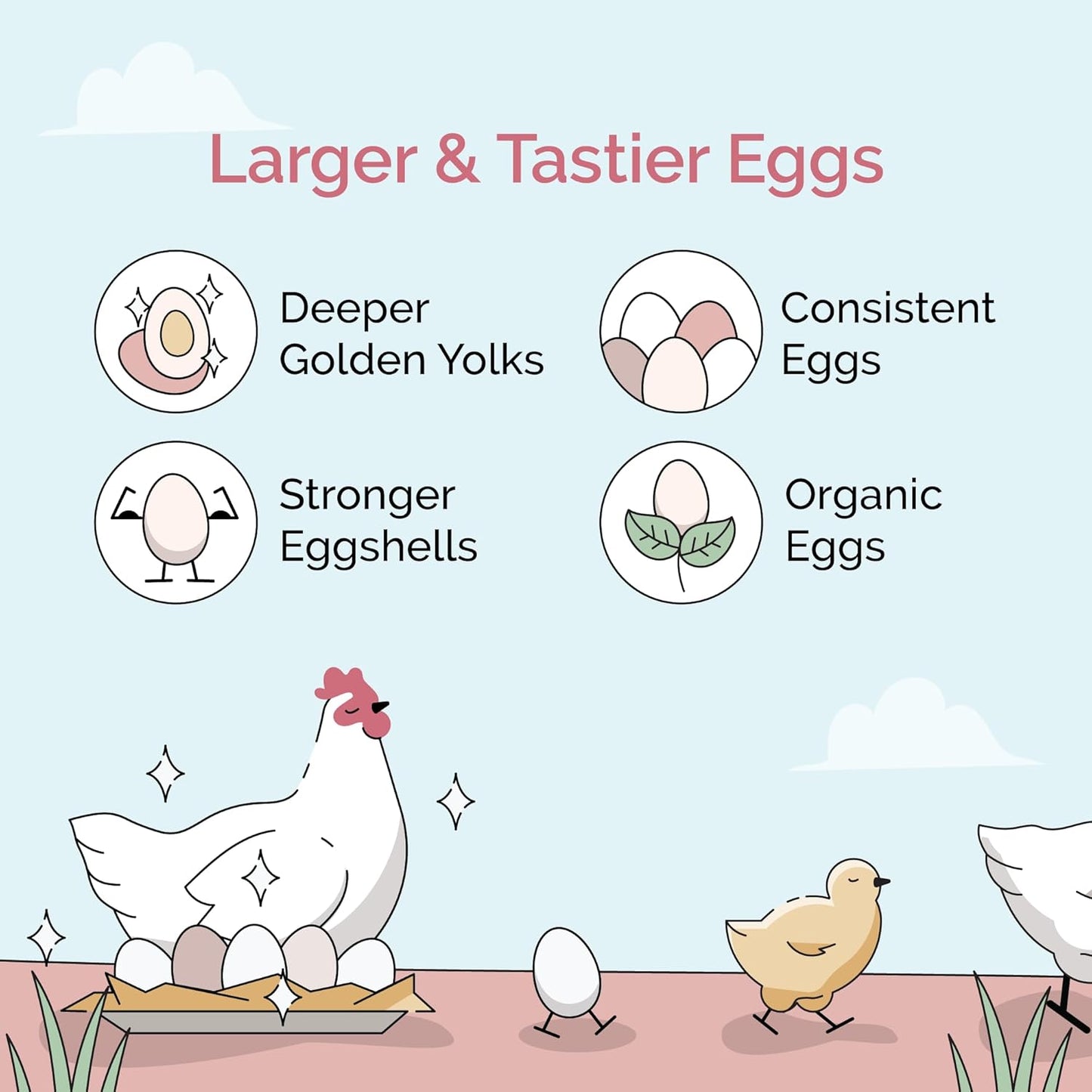 Organic Chicken Feed – Layer Mash, Non-GMO, USA Grown, 16% Protein, Corn-Free, Soy-Free, Non-Medicated Feed for Chickens, 2 lbs Sample