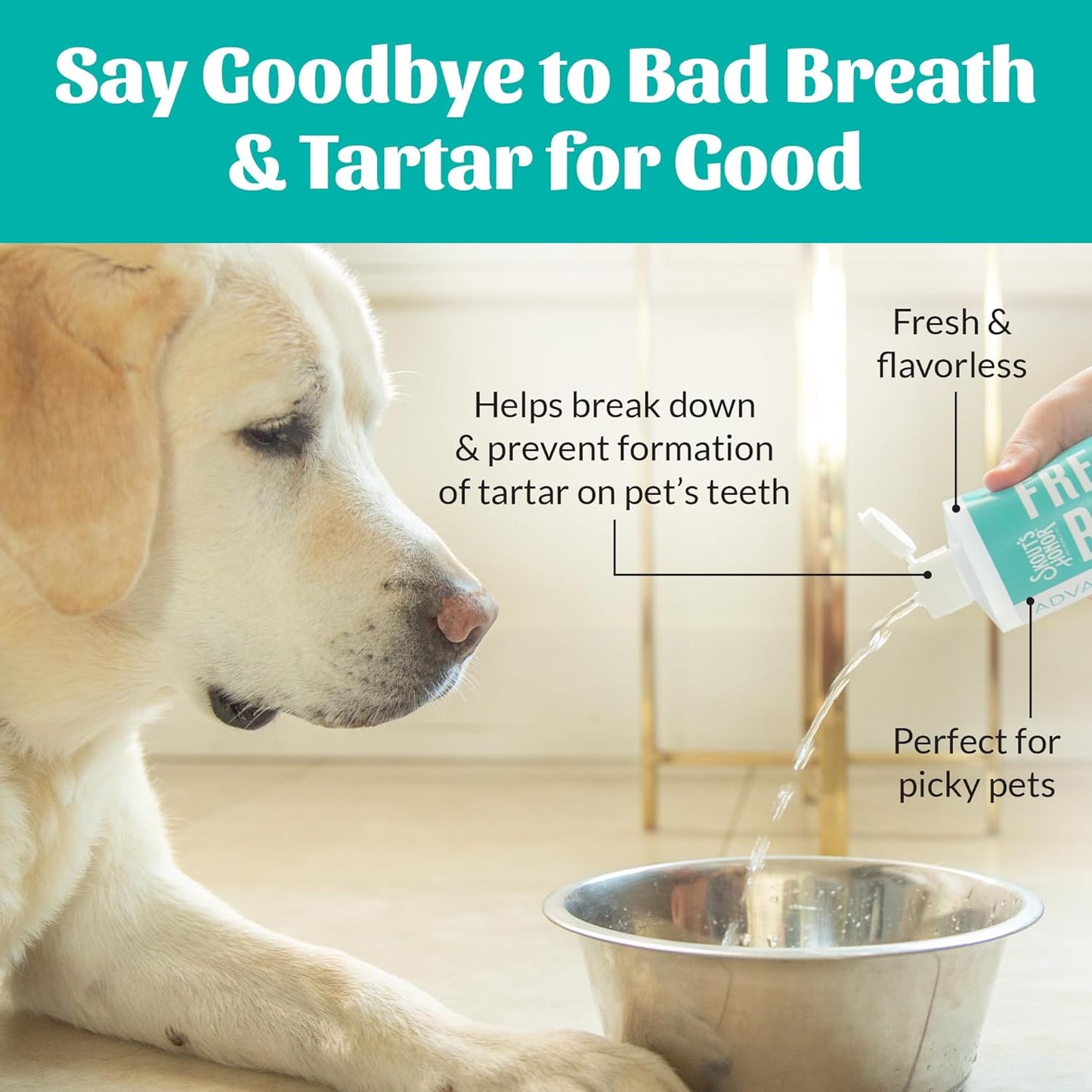 SKOUT'S HONOR Fresher Breath Water Additive for Pets - VOHC Accepted for Tartar Control, Freshens Breath Fast, No Brushing Required, 32 oz, 2-Pack