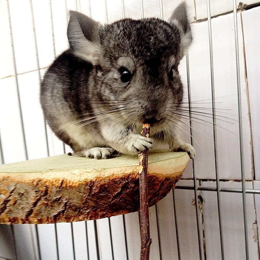 500g Apple Sticks Small Animals Molar Wood Toys for Rabbits Chinchillas Guinea Pig Hamster Gerbil Bunny and Small Animal Chew Stick Toys