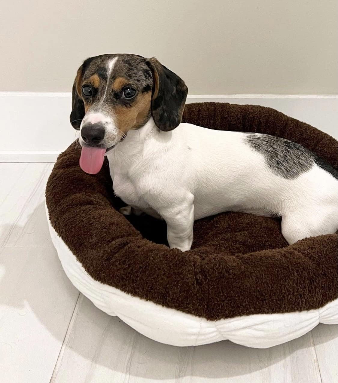 TONBO Soft Plush Small Cute and Cozy Food Dog Cat Bed, Washer and Dryer Friendly (Cookies and Cream)