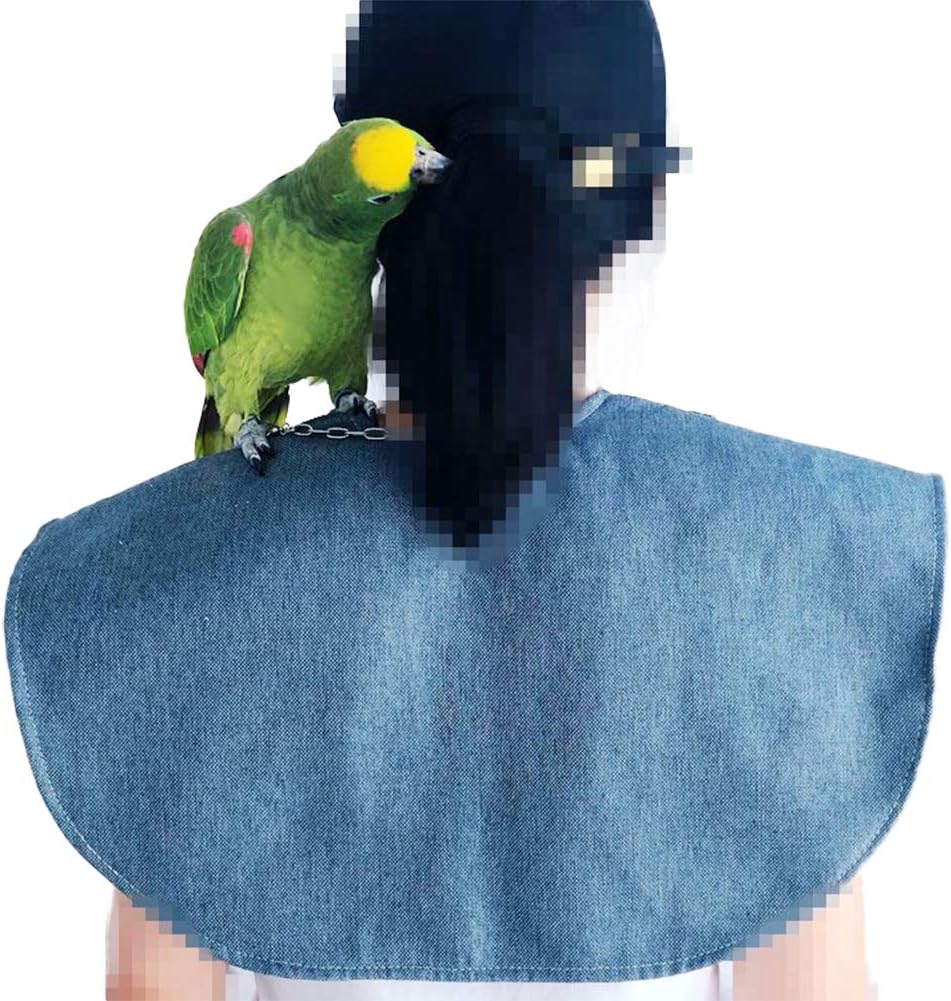 QBLEEV Parrot Anti-Scratch Shoulder Protector Hang Bird Anklet&Toys, Multi-Functional Pet Shoulder Pad Diaper Shawl for Small Medium Parakeets Cockatiels, Sun Conures, Macaws Lovebirds, Finches (Blue)