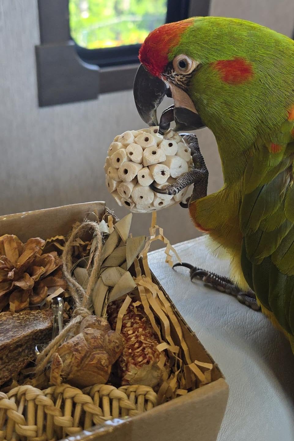 2 in 1 Parrot Toys, Tyotrbs Parakeet Foraging Box DIY Hanging String with Comes with 2 Hooks Bird Toy for Parakeets,Cockatiels,Conures,Love Birds Cage Accessories for Small to Medium Birds