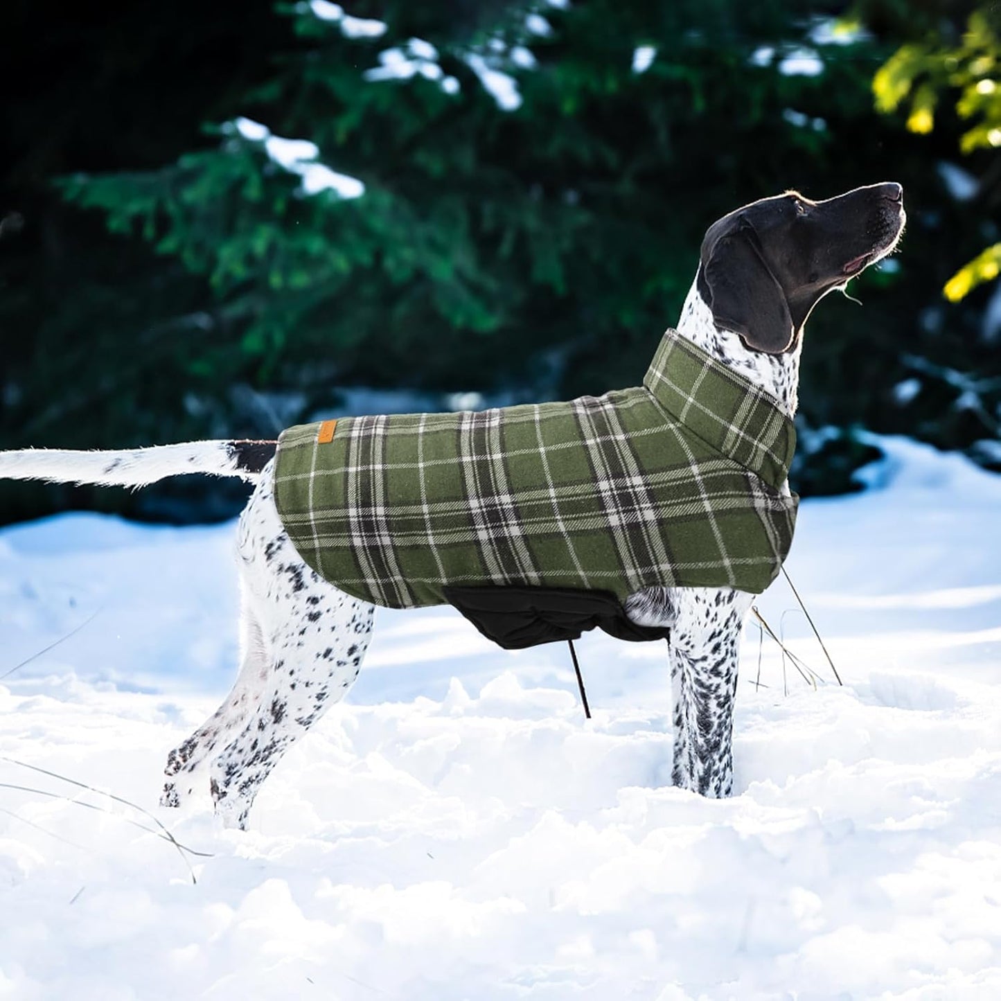 Kuoser Warm Dog Coat, Waterproof Dog Jacket for Extra Large Dogs, Adjustable Durable XL Doggie Winter Coat Reversible Cozy Puppy Cold Weather Apparel from Small to Large Breed, Blue XL
