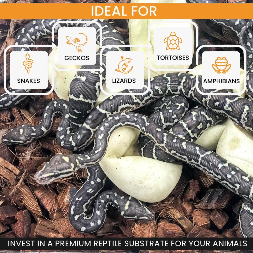 ReptiChip Reptile Bedding Loose Coconut Chip 36 Quart Coco Husk Substrate Mulch for Snake Habitat, Ball Python Terrarium, Turtle Tanks, Tortoise Enclosure