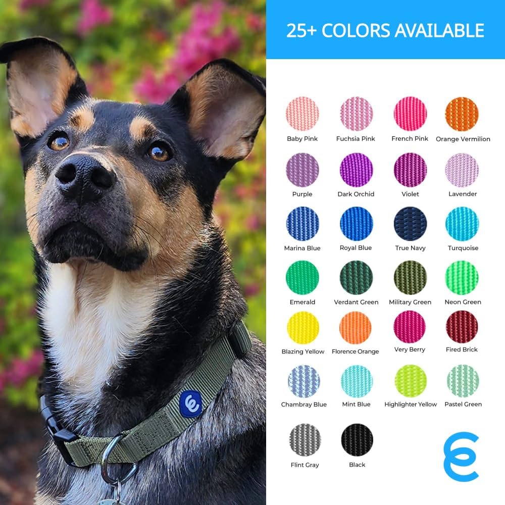 Blueberry Pet Essentials Small Dog Collar in French Pink | Adjustable & Eco-Friendly Durable Nylon Strap | Classic Collar for Small Dogs, Boy & Girl Pets