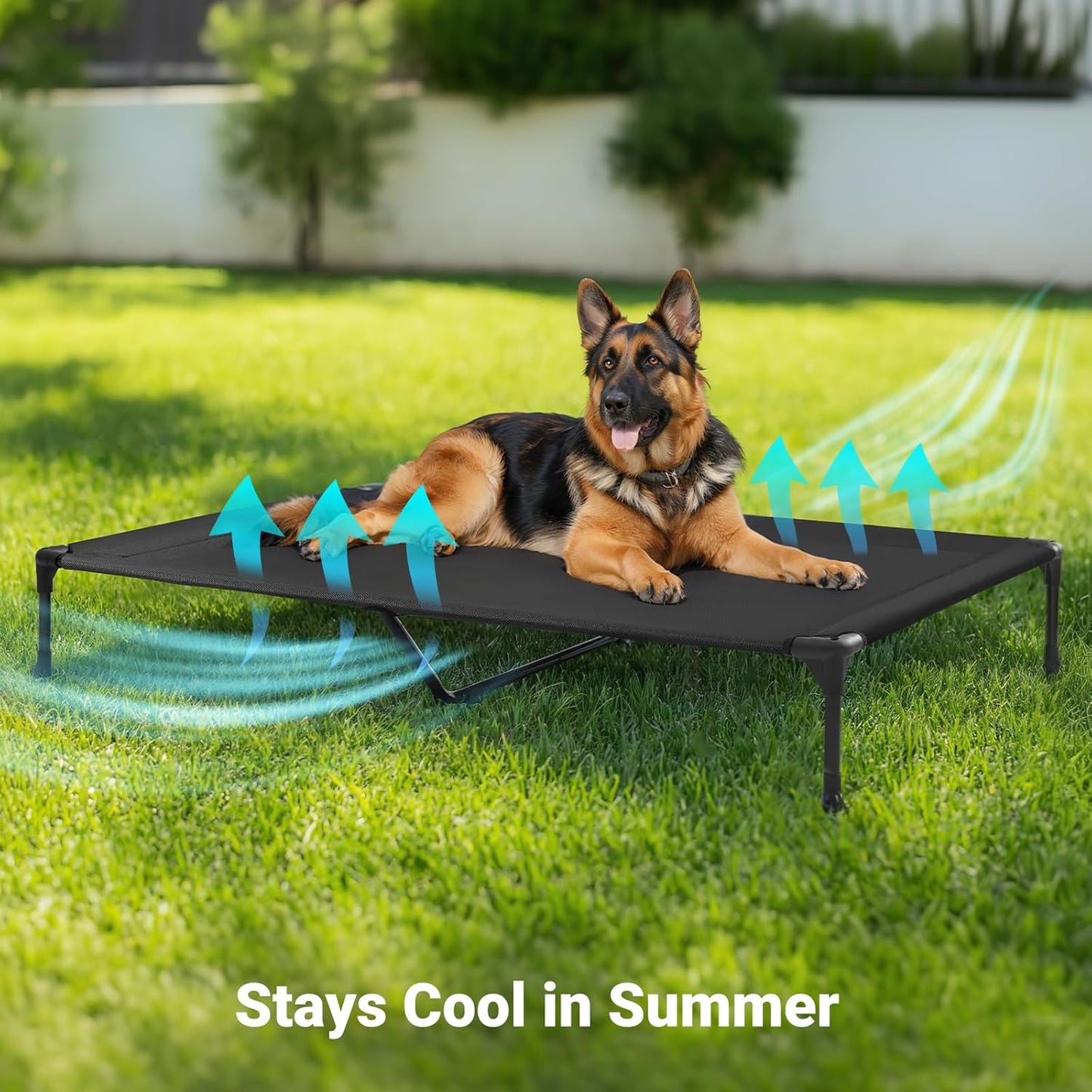 Veehoo Outdoor Elevated Dog Cot Bed, Cooling Raised Pet Bed for X-Large Dog, Washable Breathable Mesh Hammock Bed with No-Slip Feet, Indestructible Ground Off Training Platform Cot-49"x33"Beige Coffee