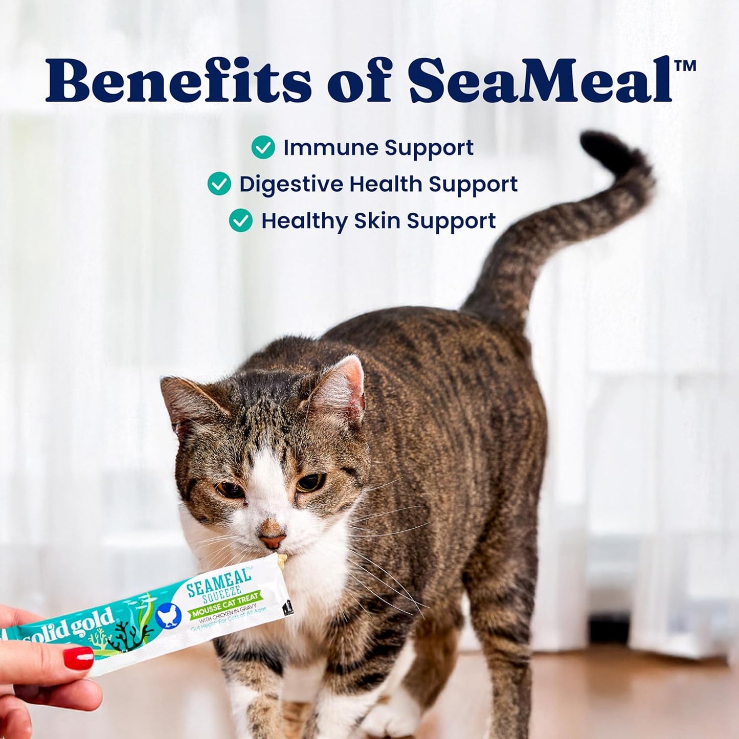 Solid Gold Lickable Cat Treats - Limited Ingredient SeaMeal Squeezable Healthy Cat Treats Variety - Chicken & Tuna Snack & Topper Squeeze Ups for Cats w/for Gut & Immune Support - 3oz/6ct