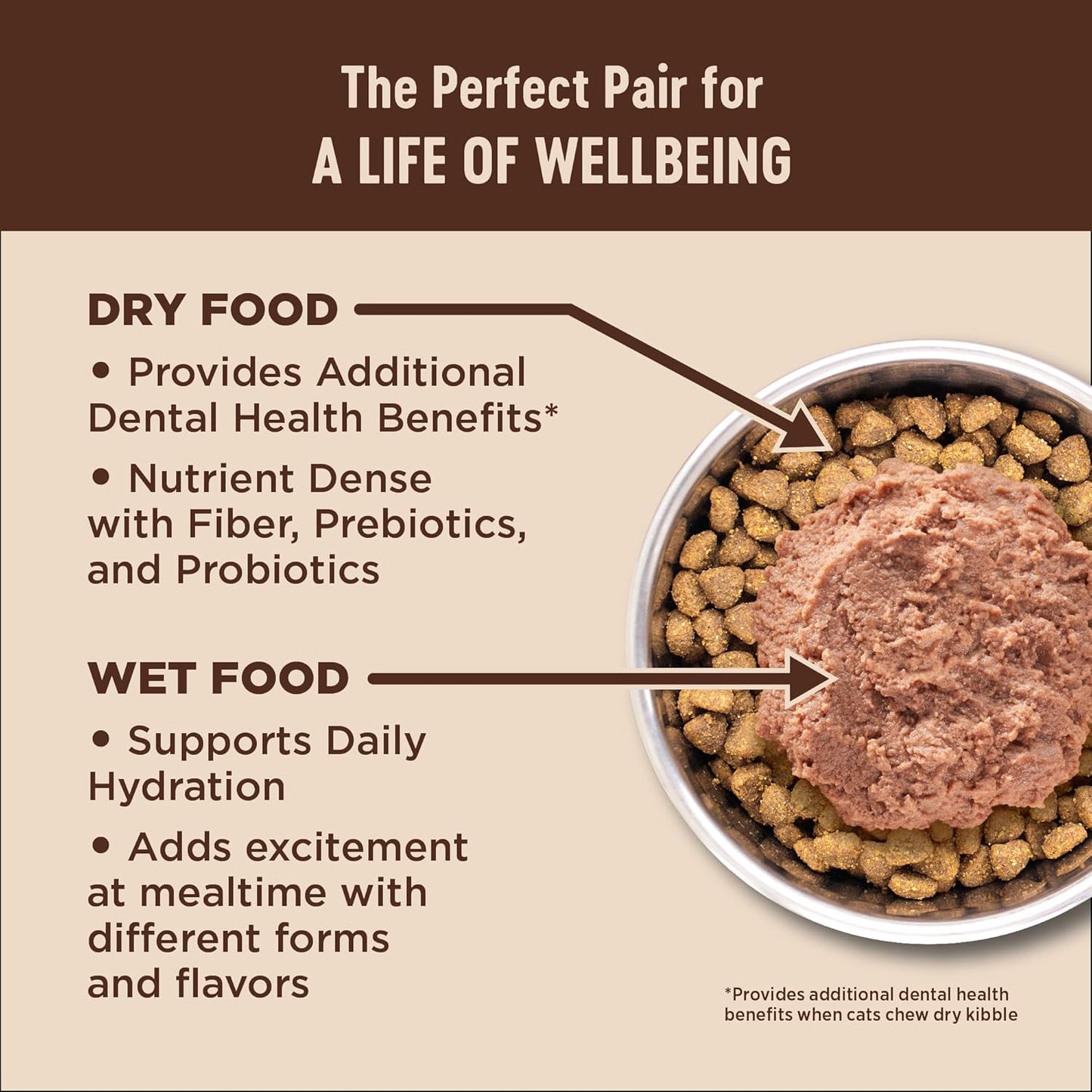 Wellness CORE+ Skin & Coat Pate Adult Wet Cat Food, Natural, Protein-Rich, Grain Free, 2.8 Ounce, 12 Pack (Duck & Chicken)