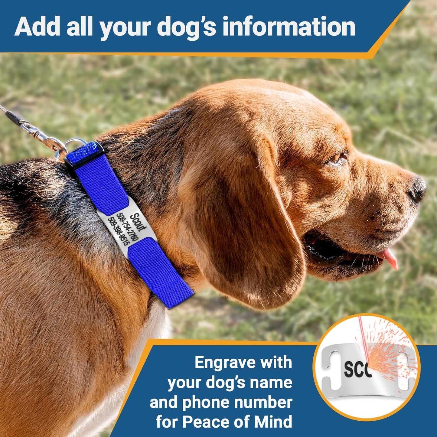 GoTags Personalized Dog Collar with Nameplate, Adjustable Dog Collar with Custom Engraved Slide On Pet ID Tag in Stainless Steel, Silent, No Noise Dog Tag for Large Medium and Small (Red, Small)