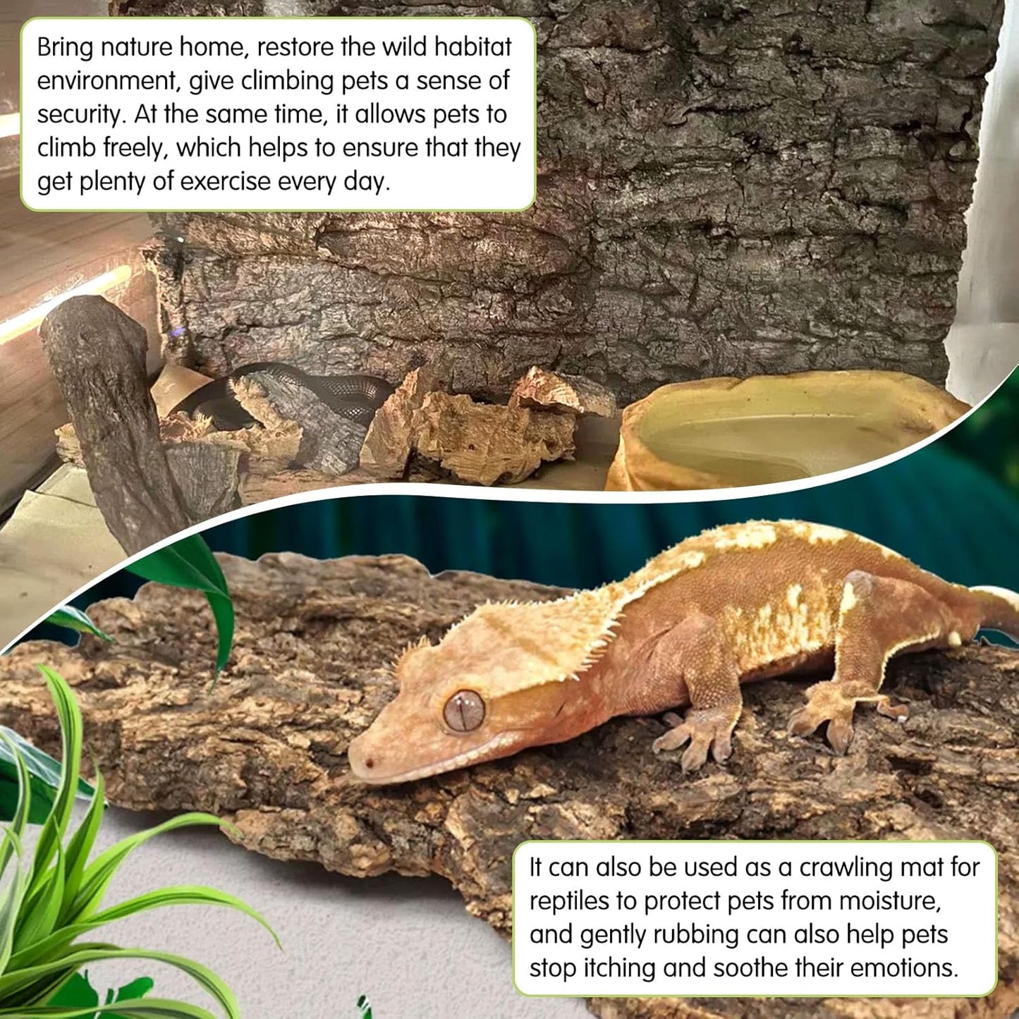 kathson 10PCS Cork Tile Background Bark 7.9”Lx7.9”W Reptile Tank Background Terrarium Backdrop Wall Decor Natural Reptile Climbing Mat for Spider Gecko Lizard Chameleon Bearded Dragon Turtle Snake
