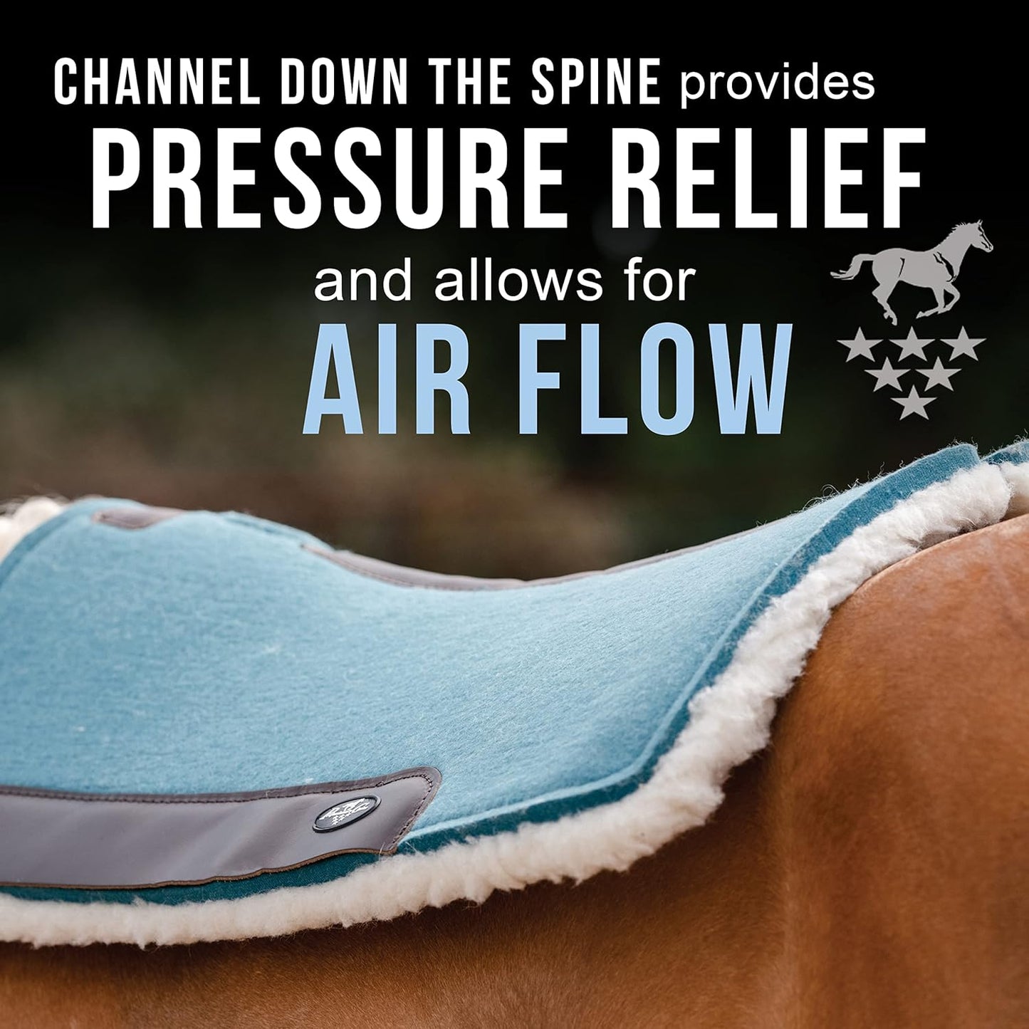 Professional's Choice 100% Steam-Pressed Wool Felt Saddle pad