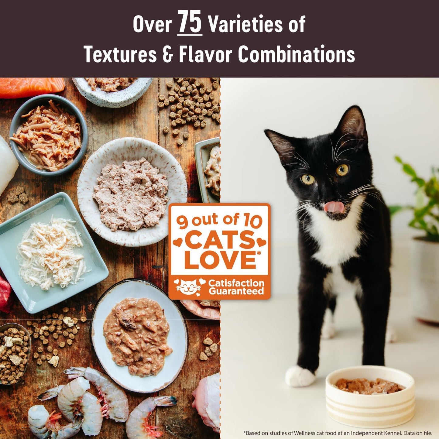 Wellness CORE Tiny Tasters Pate Adult Wet Cat Food, Natural, Protein-Rich, Grain Free, 1.75 Ounce Pouch, 12 Pack (Chicken)