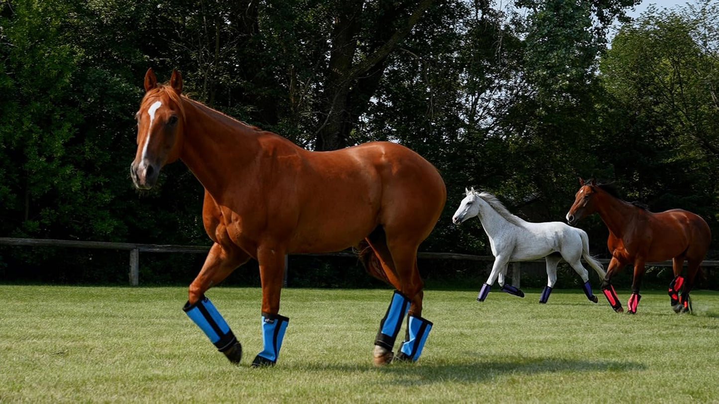 Warrior Fly Boots for Horses - Breathable Mesh Horse Boots for Fly Protection & Leg Comfort - Set of 4 (Goliath Warrior, Neon Pink)