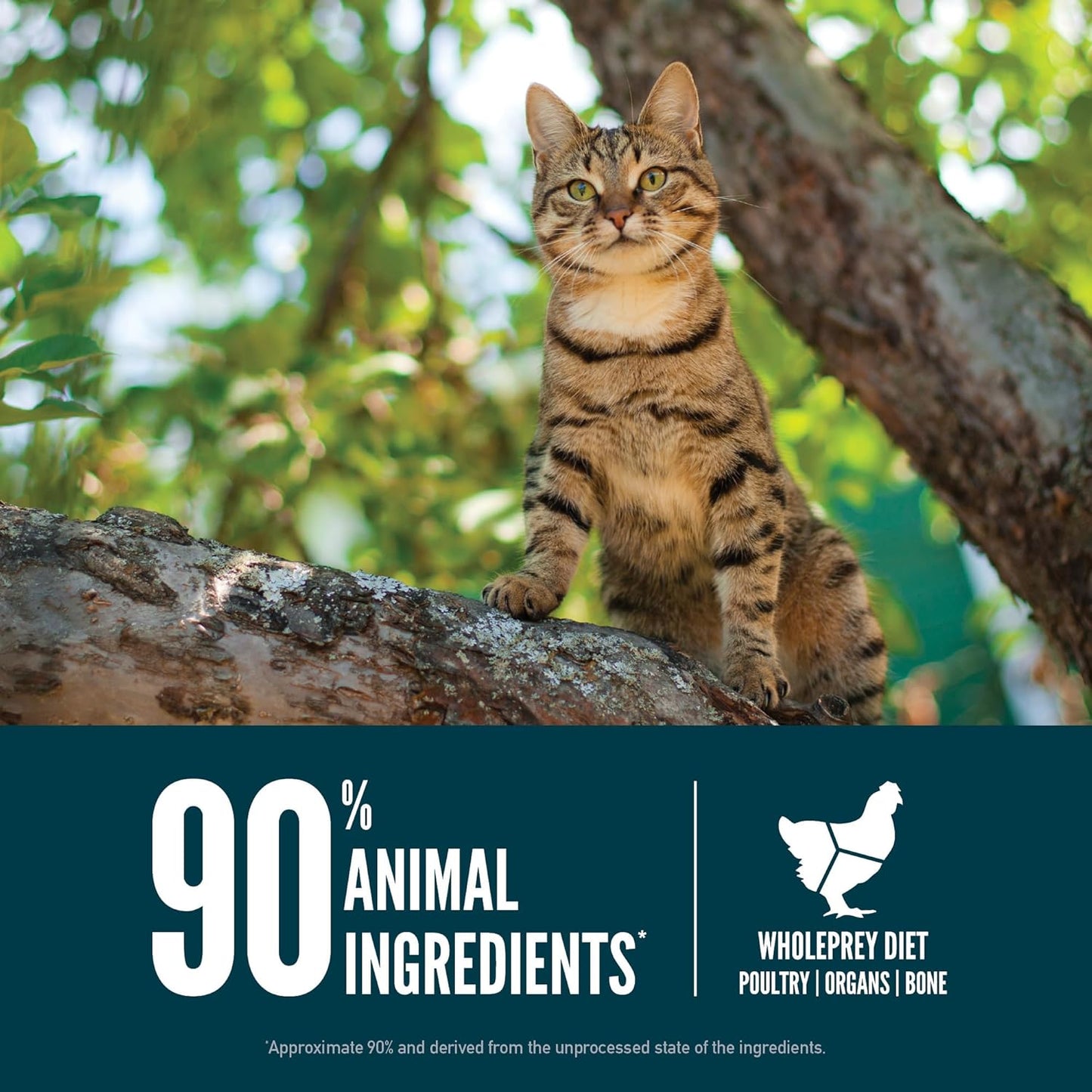 ORIJEN Guardian 8 Grain Free High Protein Premium Dry Cat Food 10lb Bag