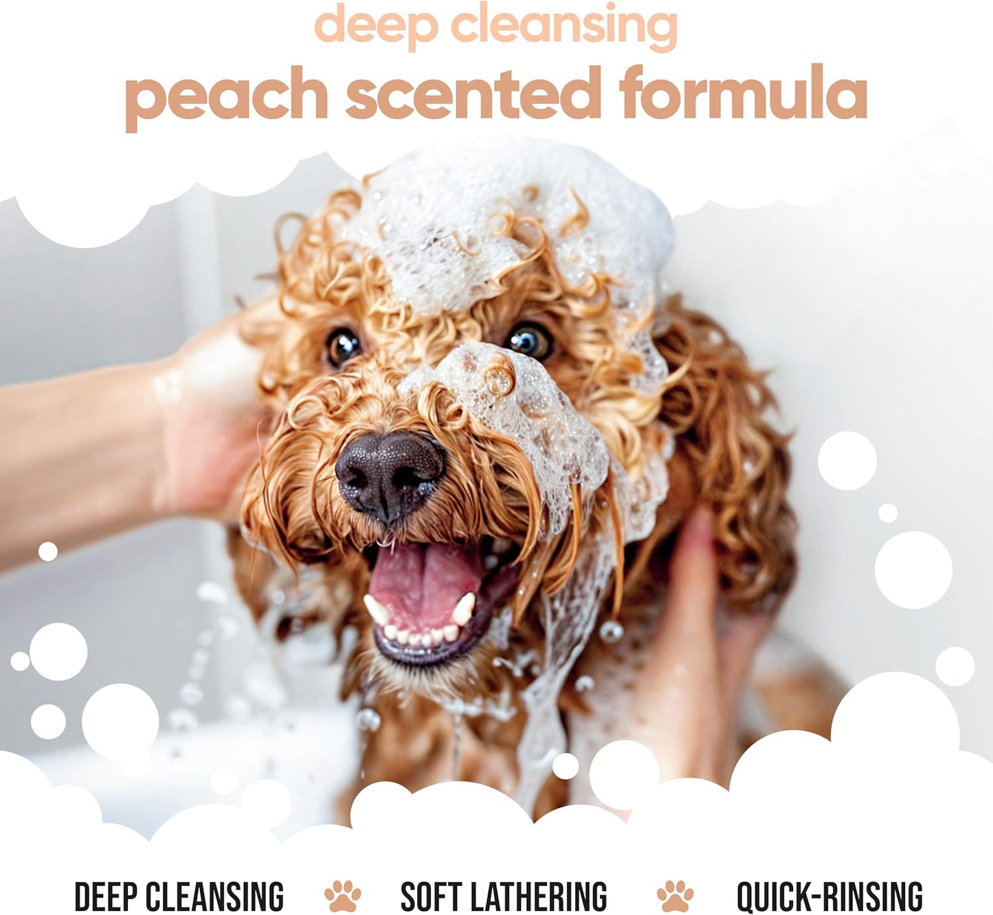 Curly Coat Dog Shampoo by Buddycare | with Aloe Vera and Pro Vitamin B5 (50.72oz)