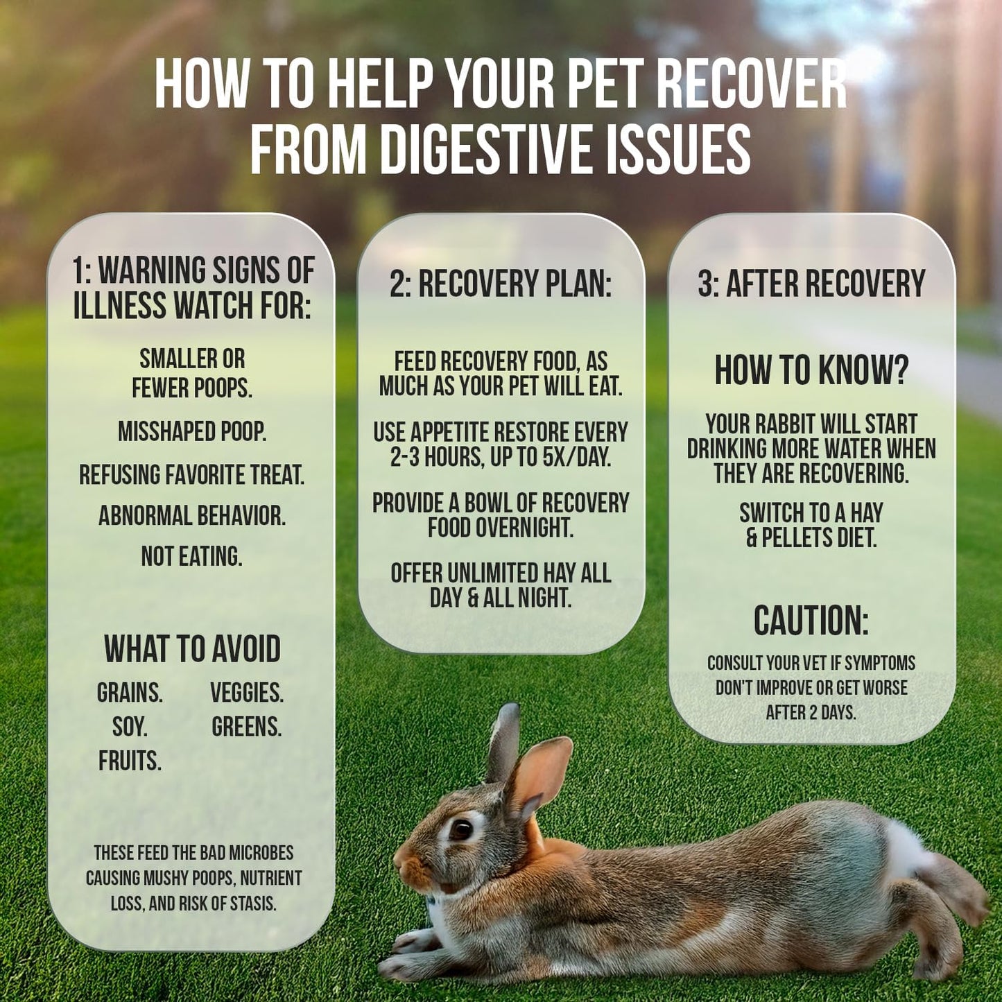 Sherwood Pet Health Rabbit Emergency kit and Bulk Recovery Food (200 Grams)